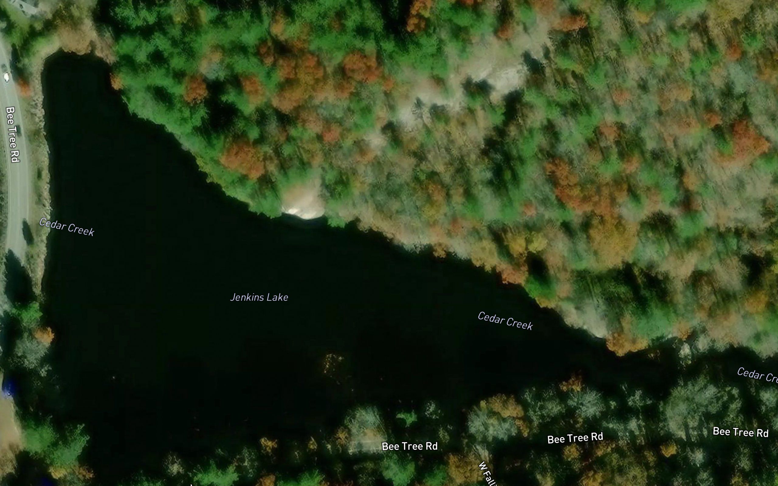 Jenkins Lake