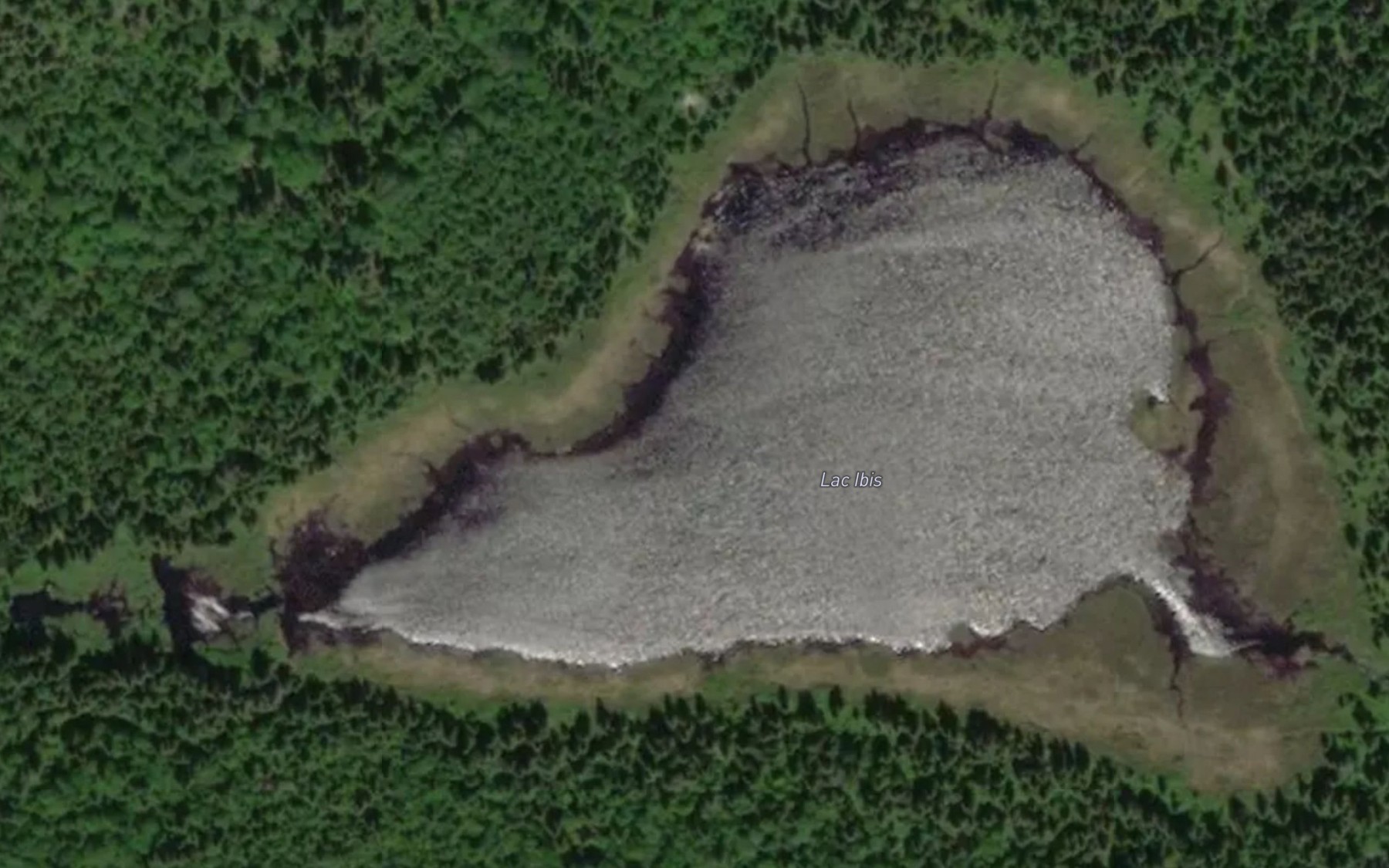 Satellite map of the Lac Ibis