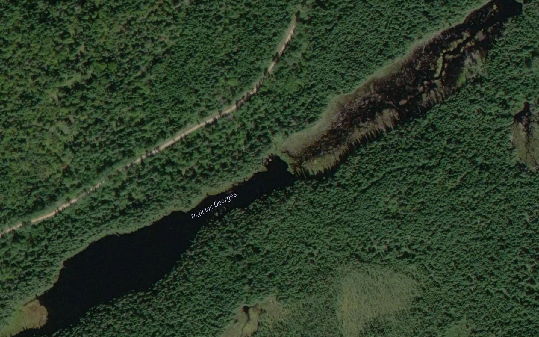 Satellite map of the Petit lac Georges