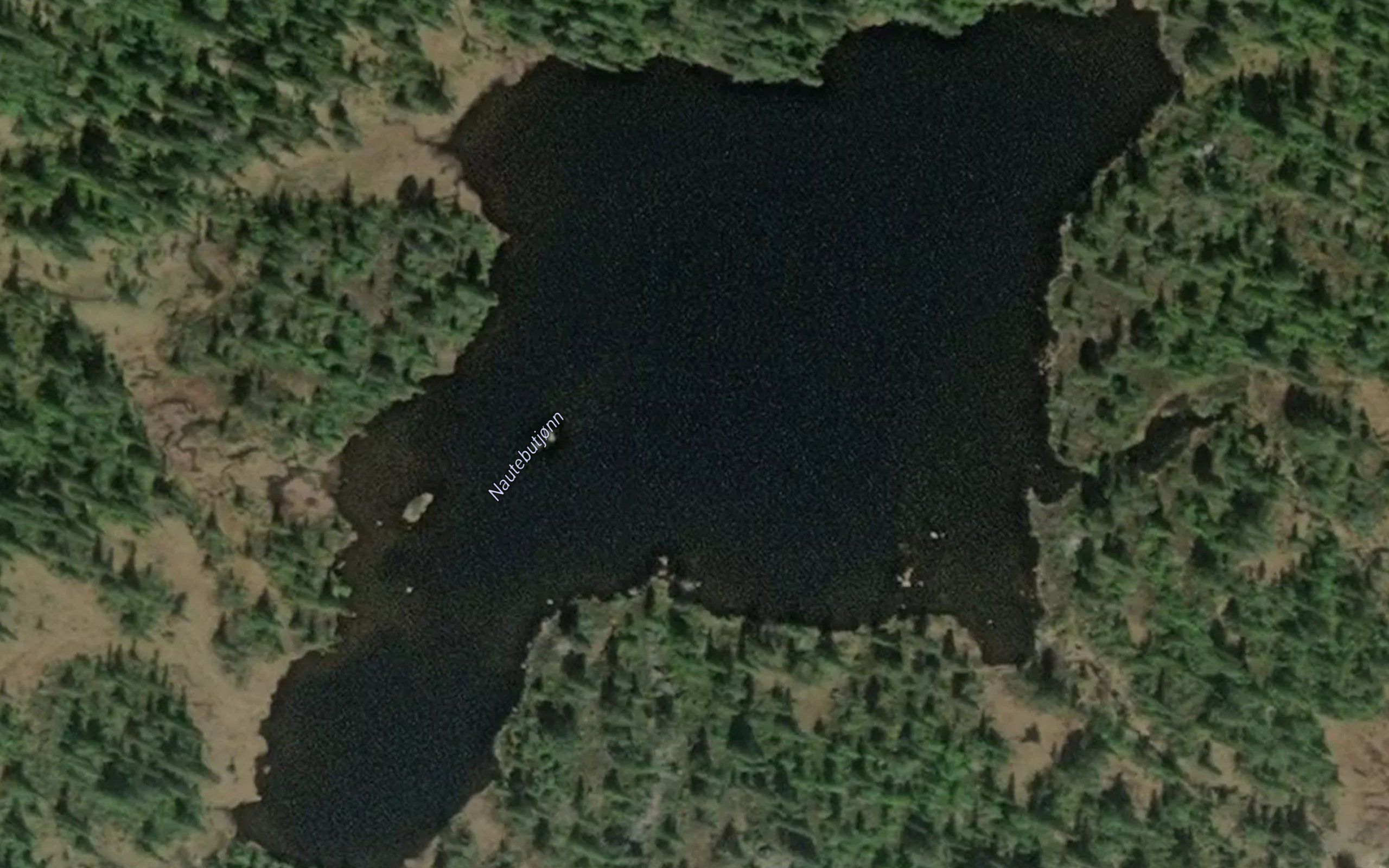 Nautebutjonn