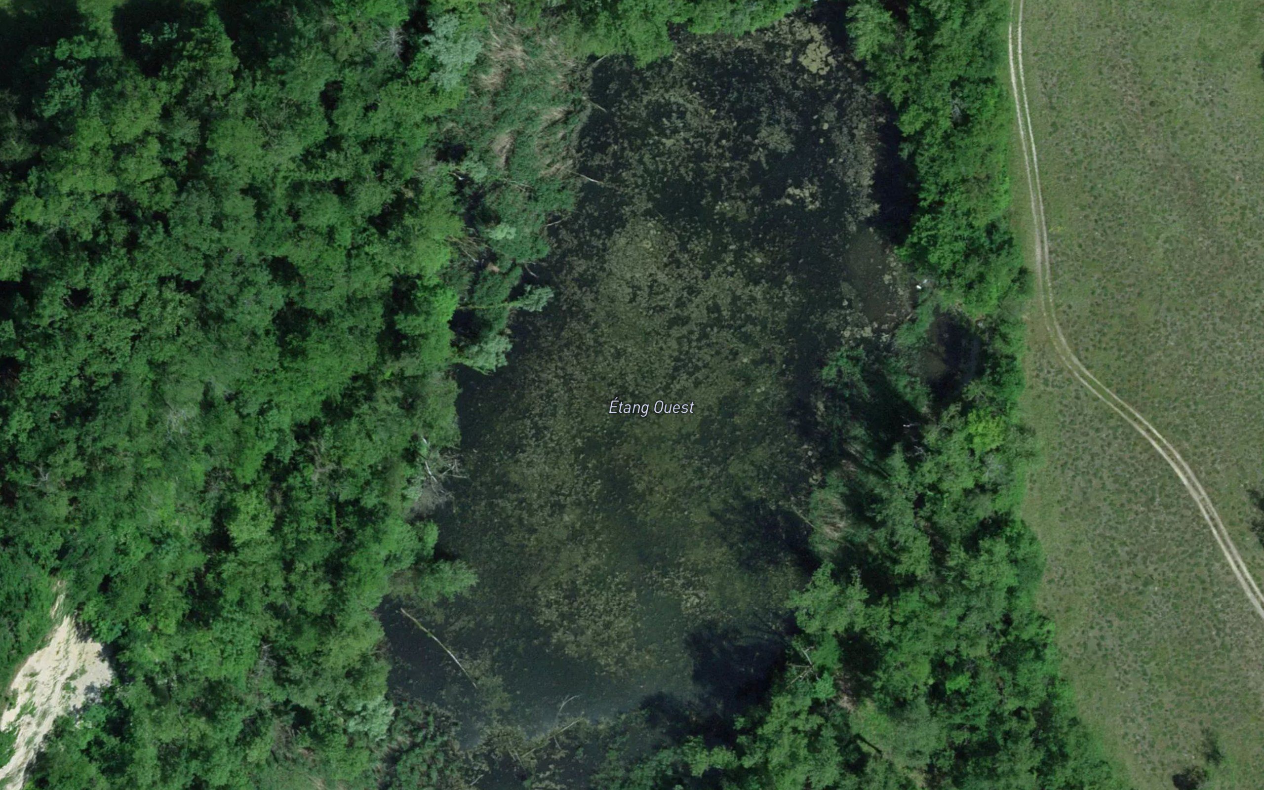 Etang du Moulin de Vert