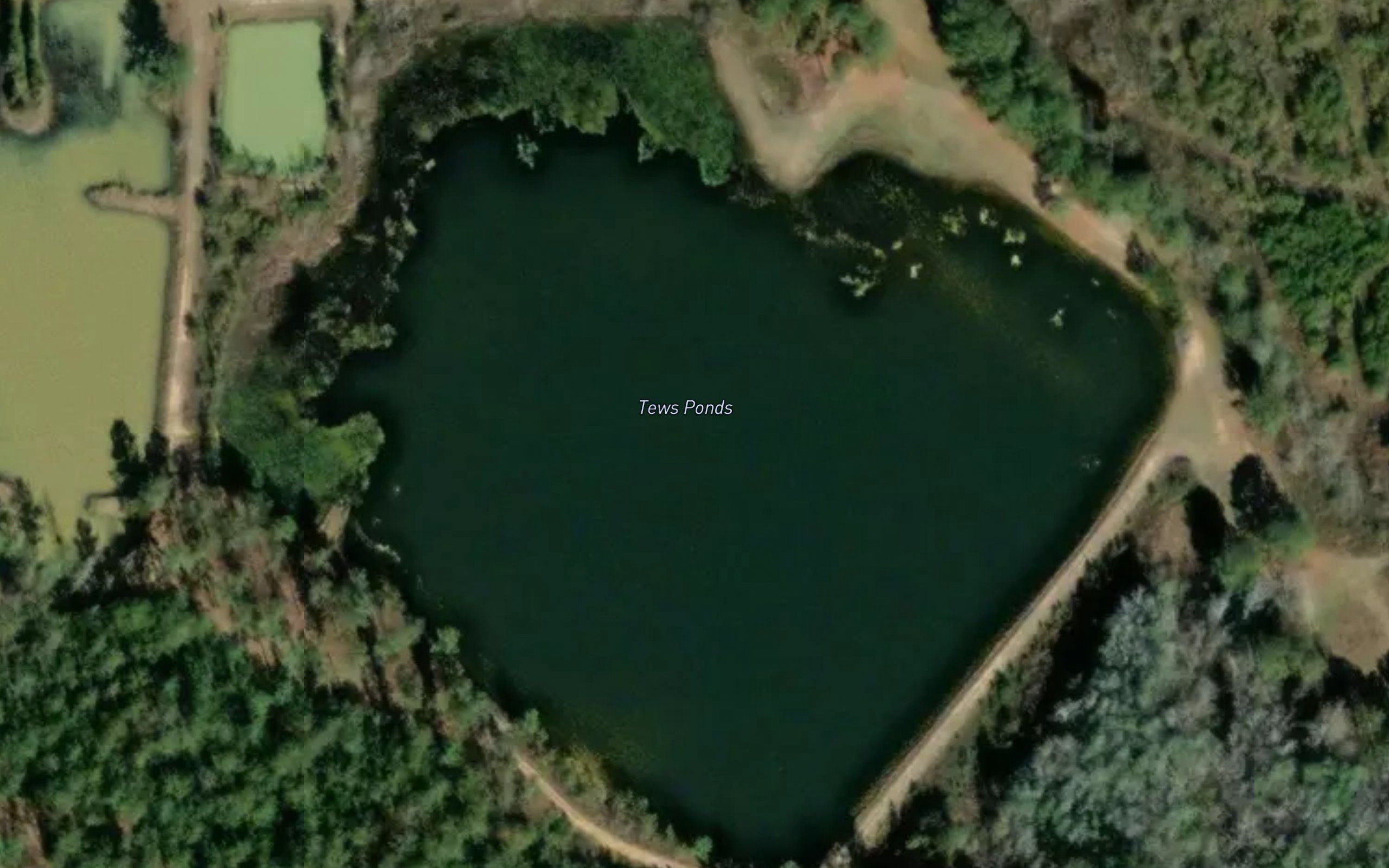 Tews Ponds