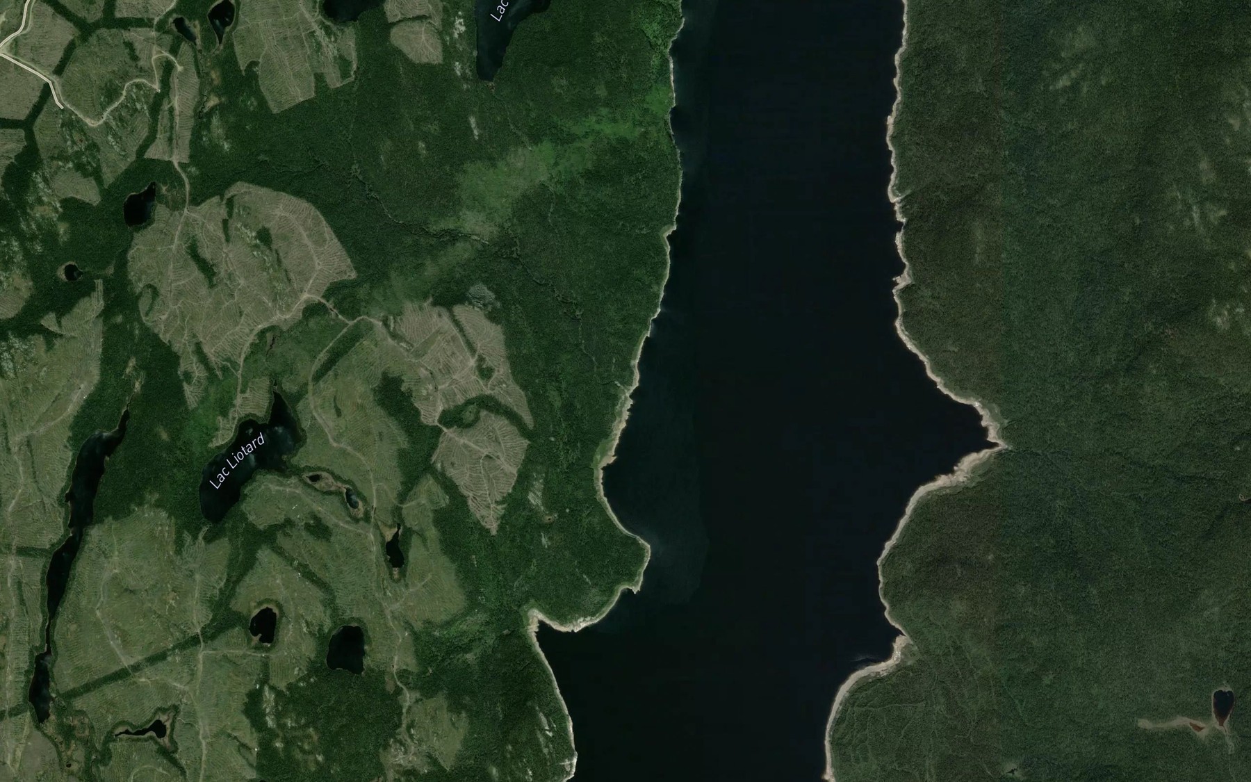 Satellite map of the Ruisseau Herring
