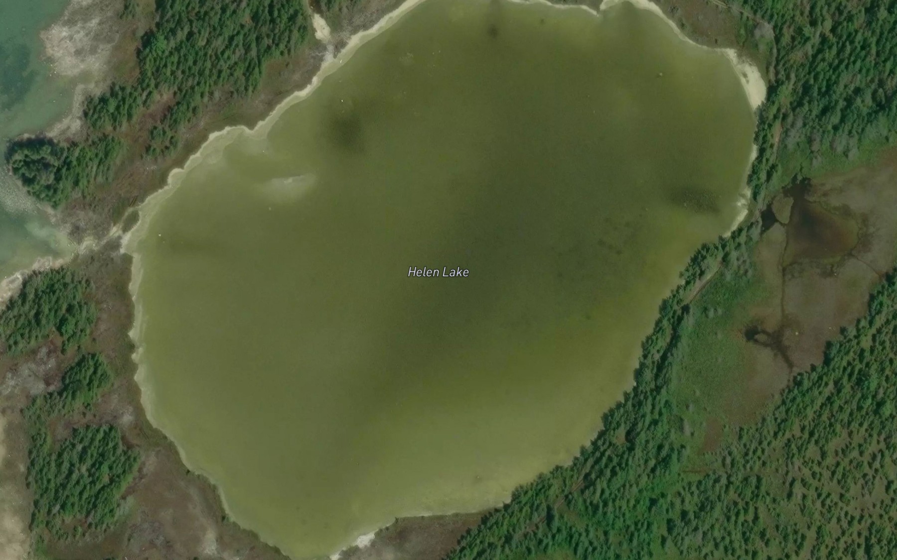 Satellite map of the Helen Lake
