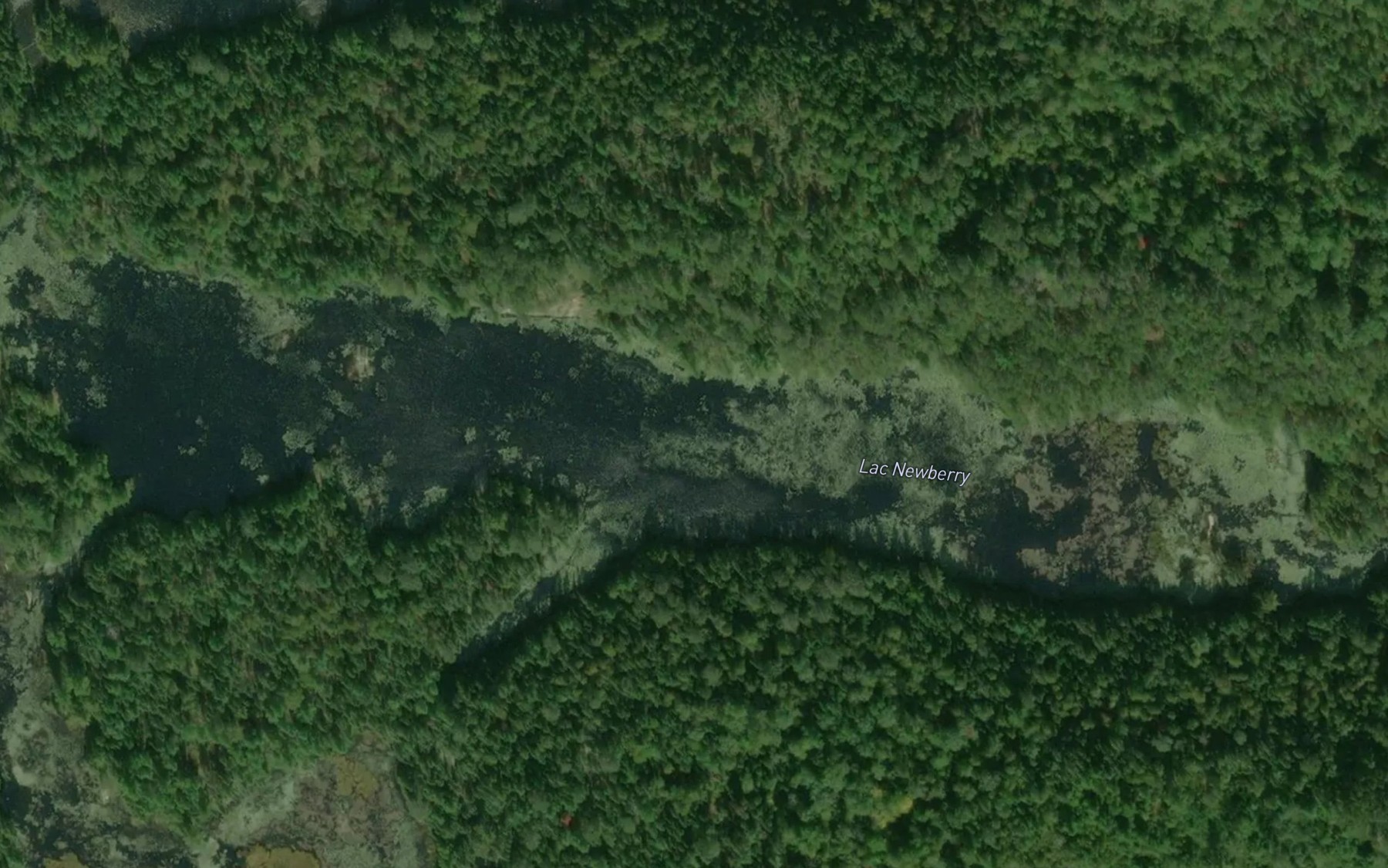 Satellite map of the Lac Newberry