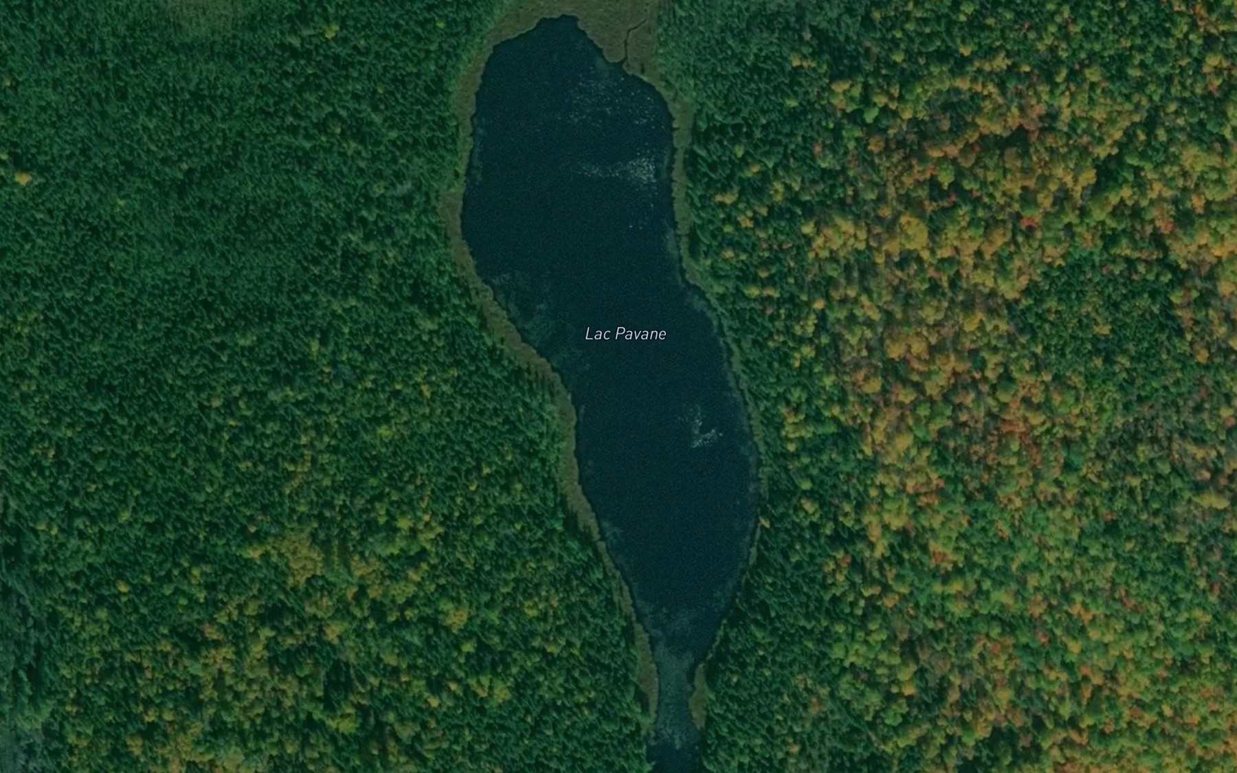 Satellite map of the Lac Pavane