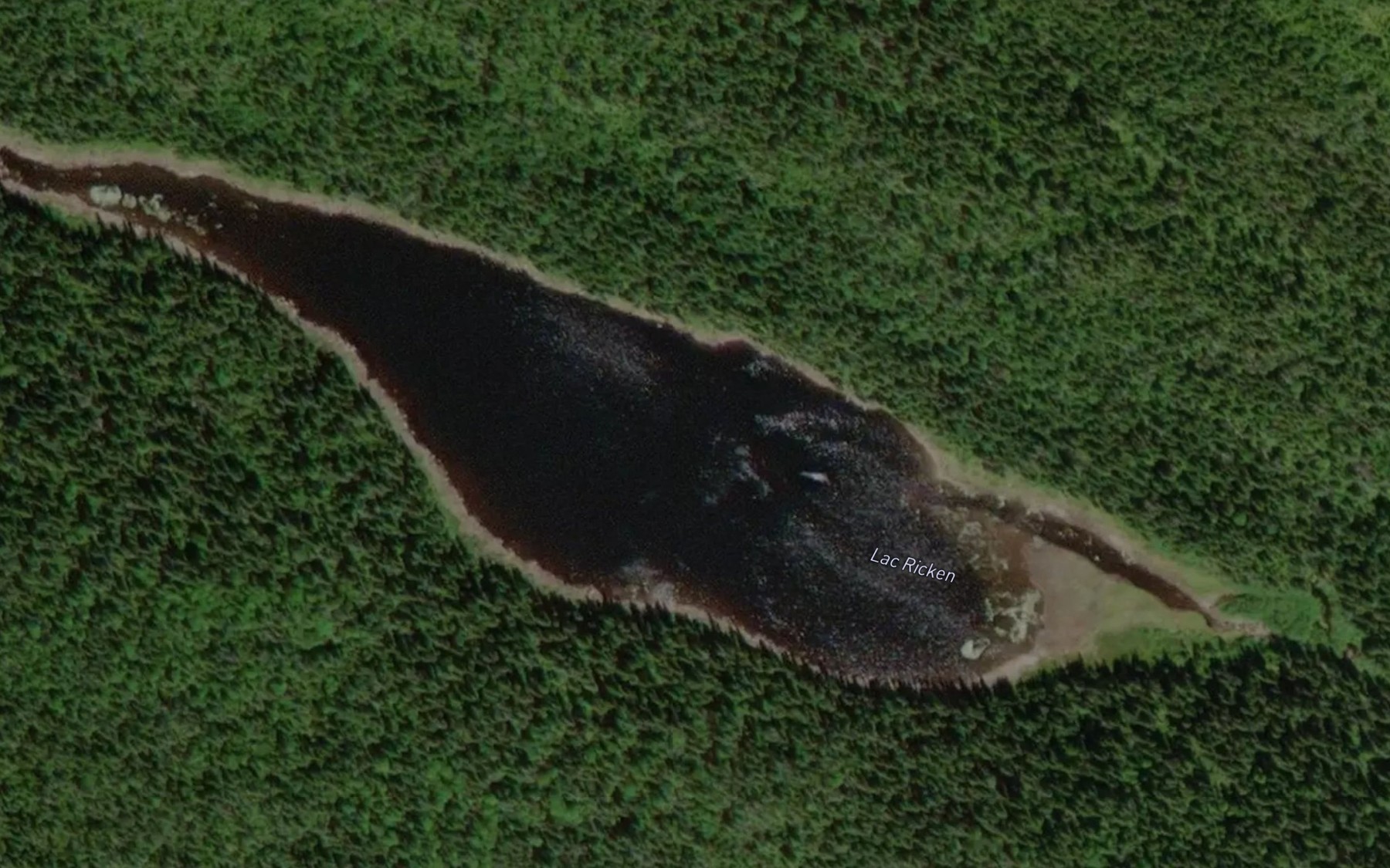 Satellite map of the Lac Ricken
