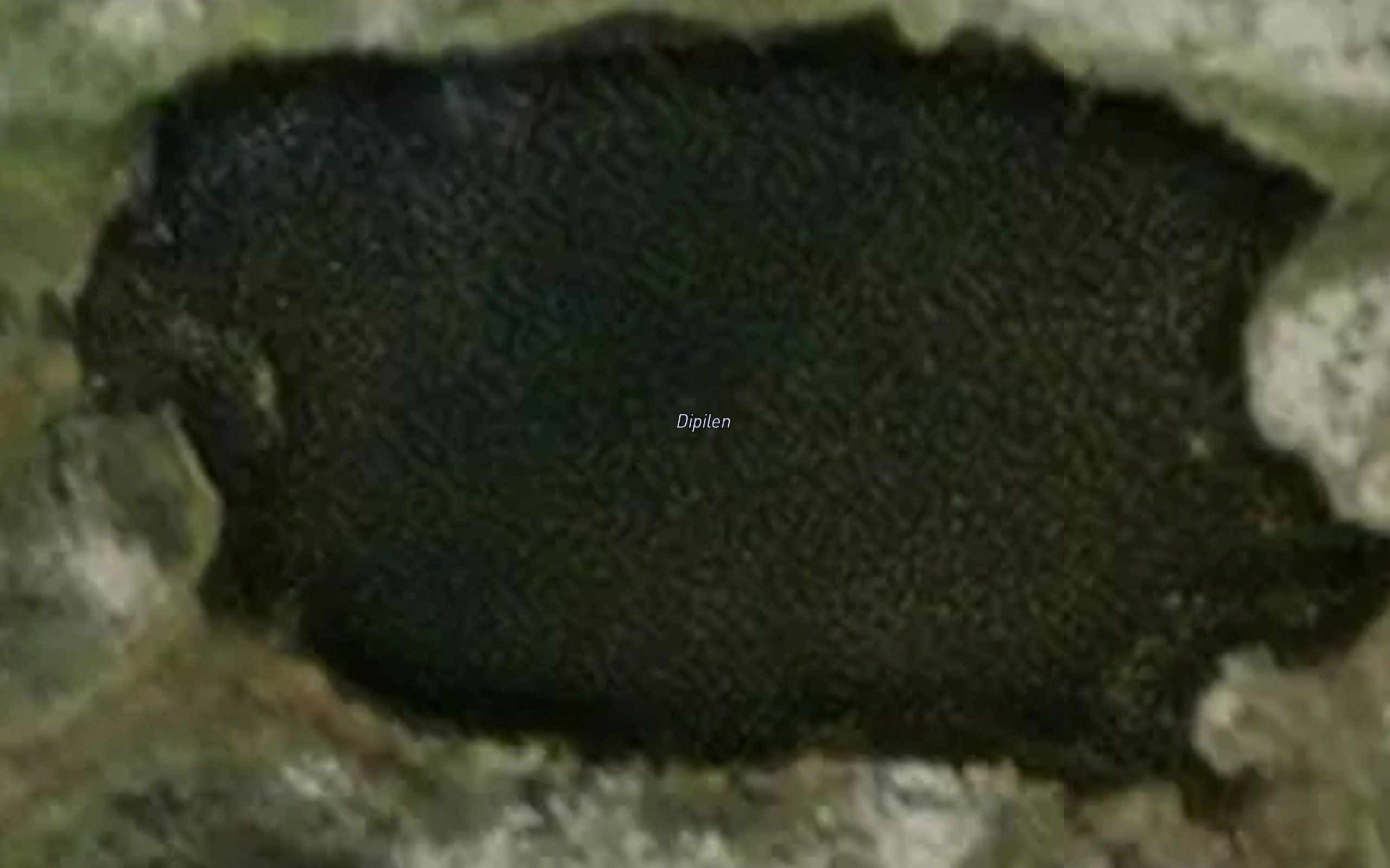 Dipilen
