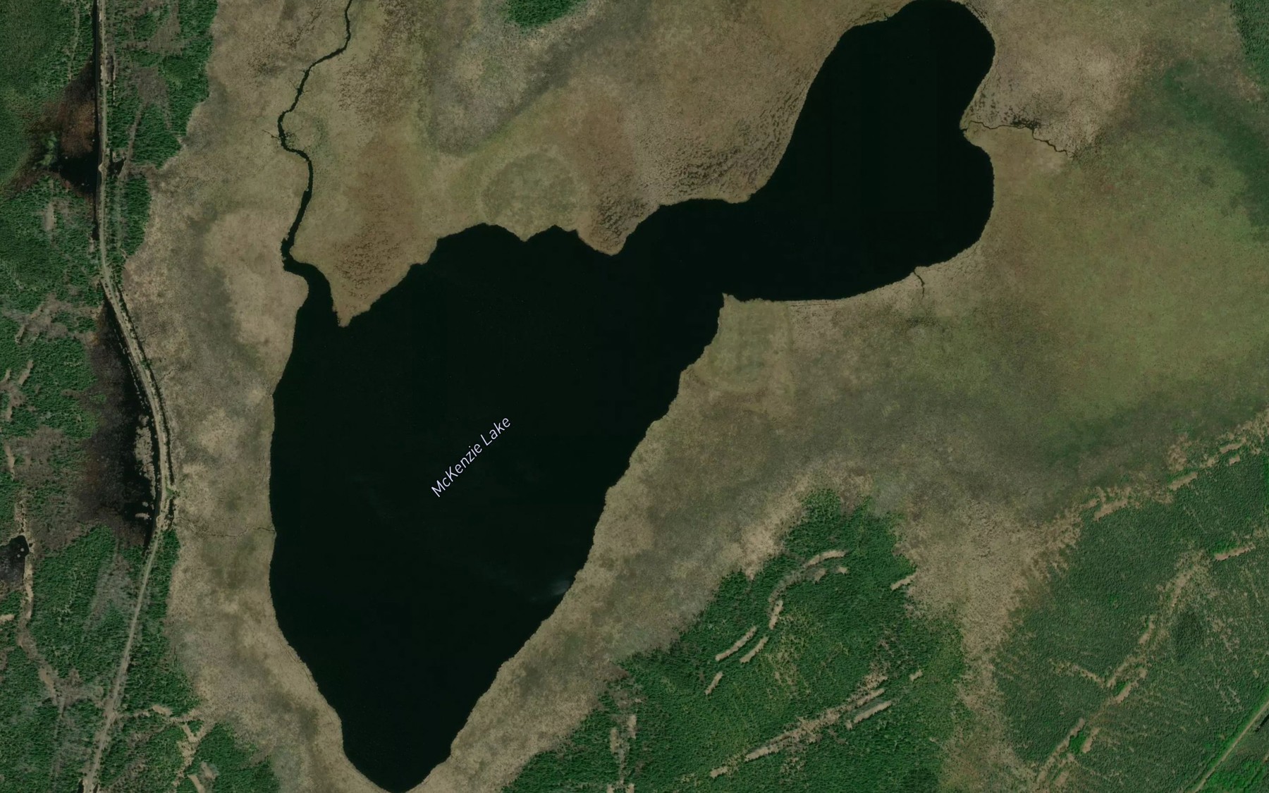 Satellite map of the McKenzie Lake