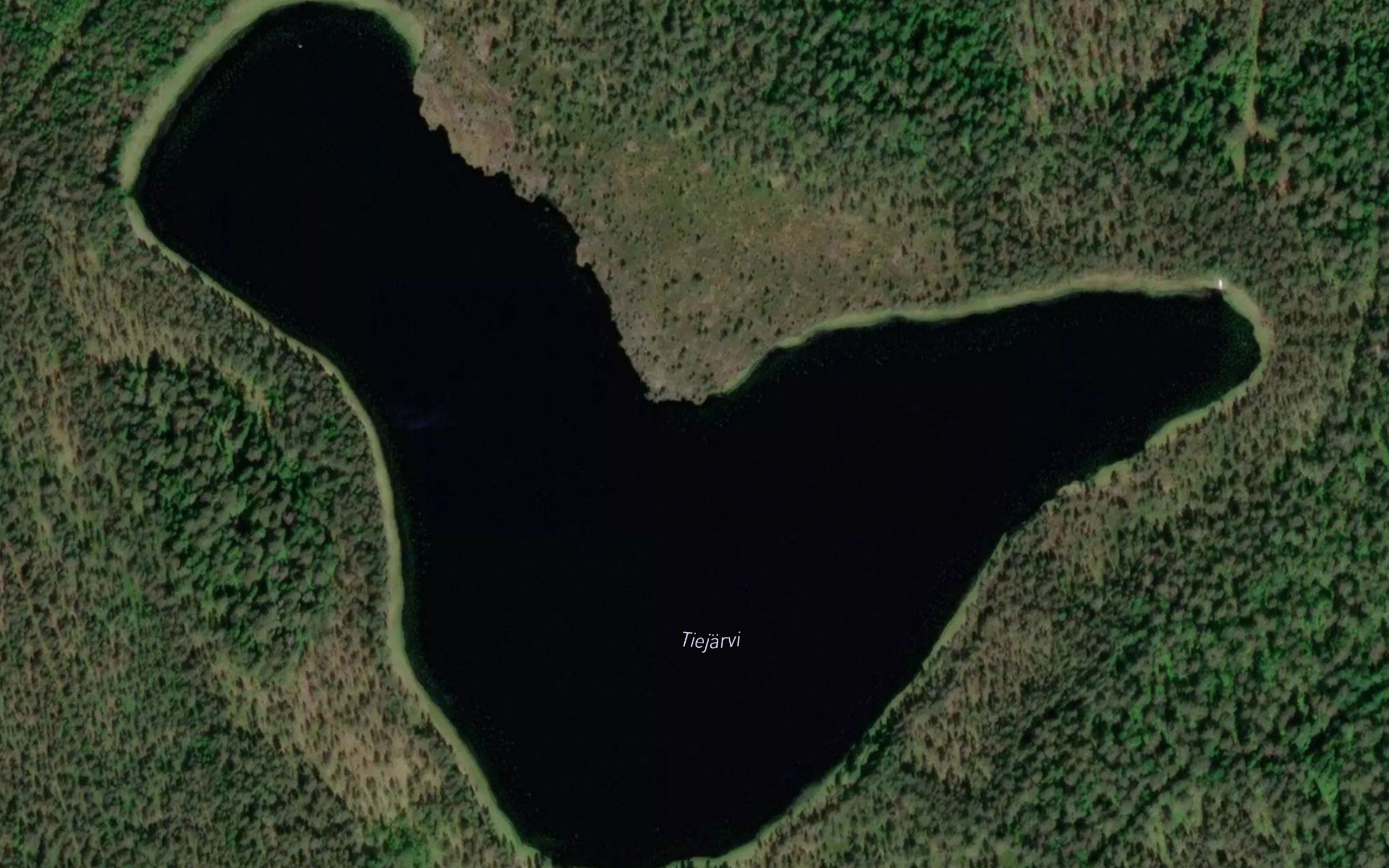 Tiejarvi