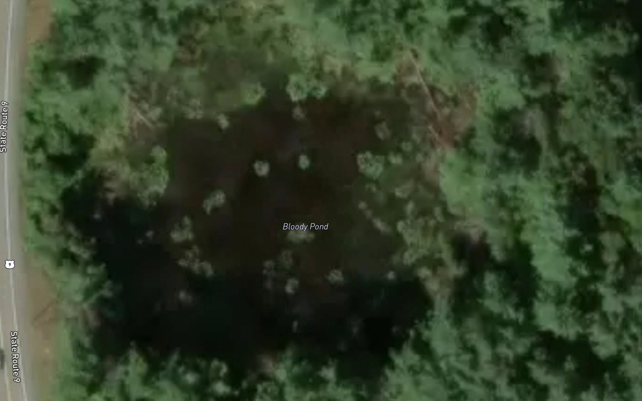 Bloody Pond