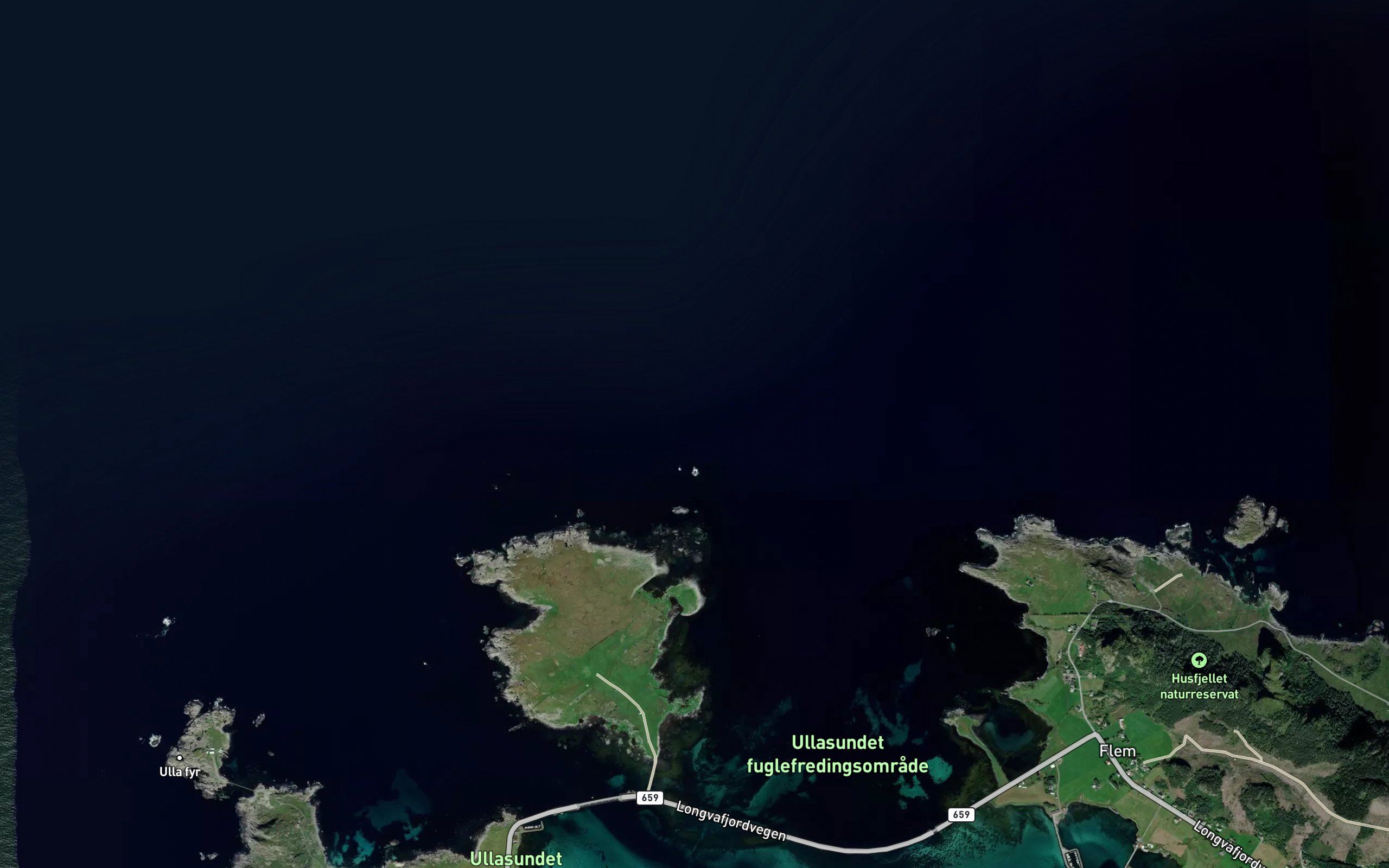 Skjerdingsfluna
