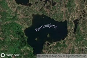 Kambetjorn