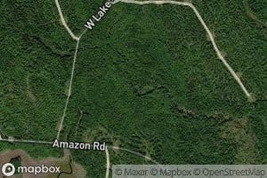 West Branch Amazon Brook