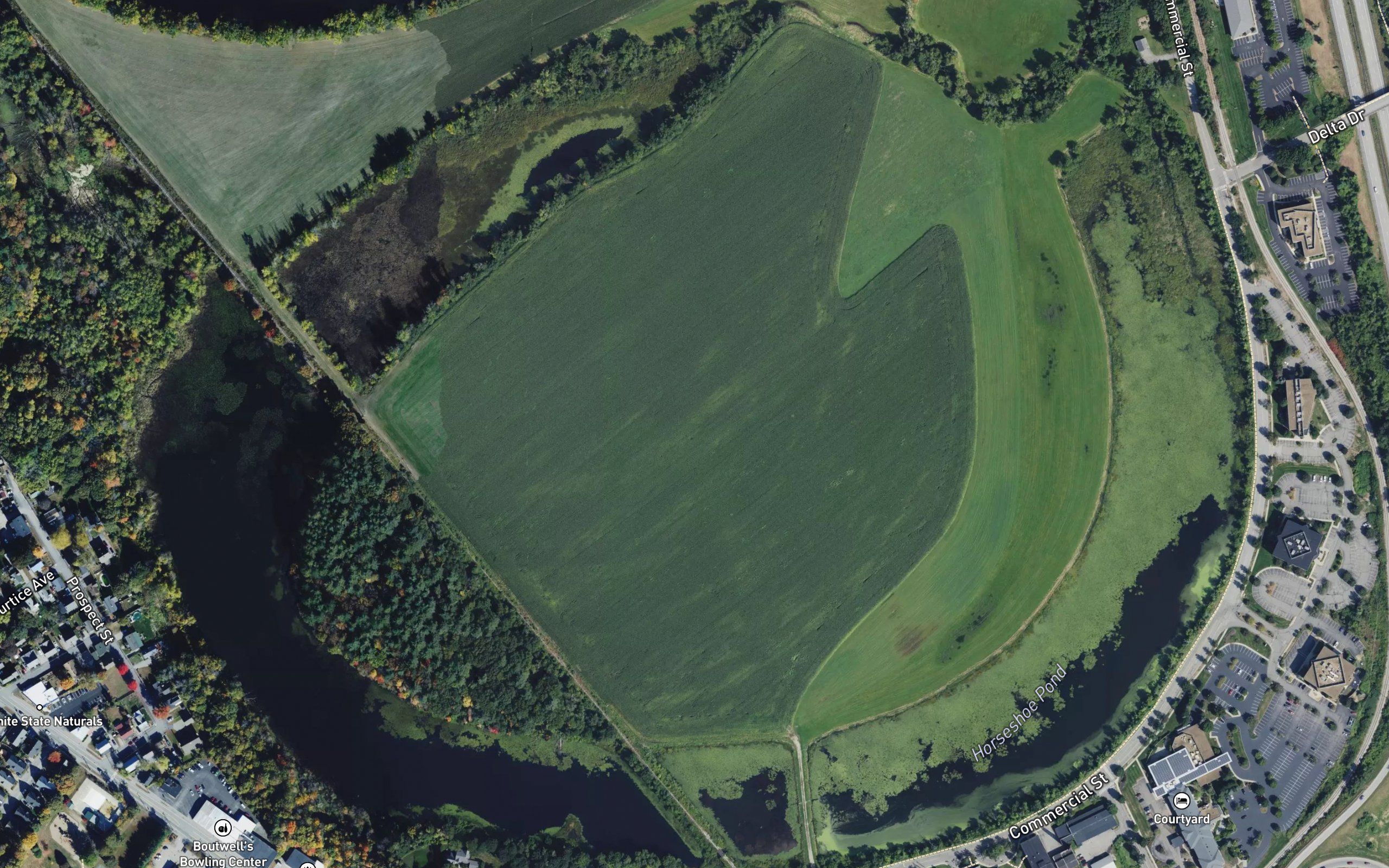 Horseshoe Pond