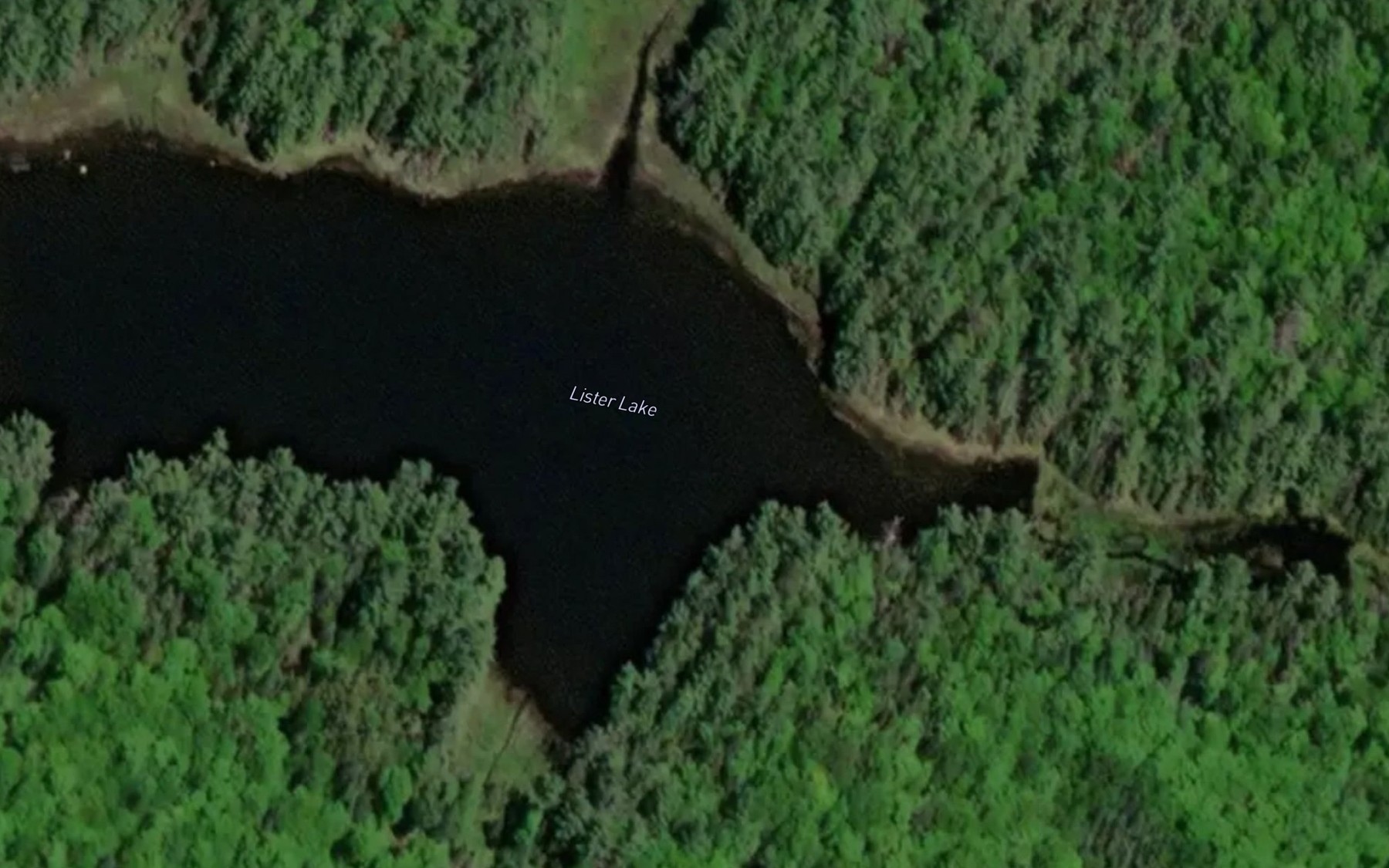 Satellite map of the Lister Lake