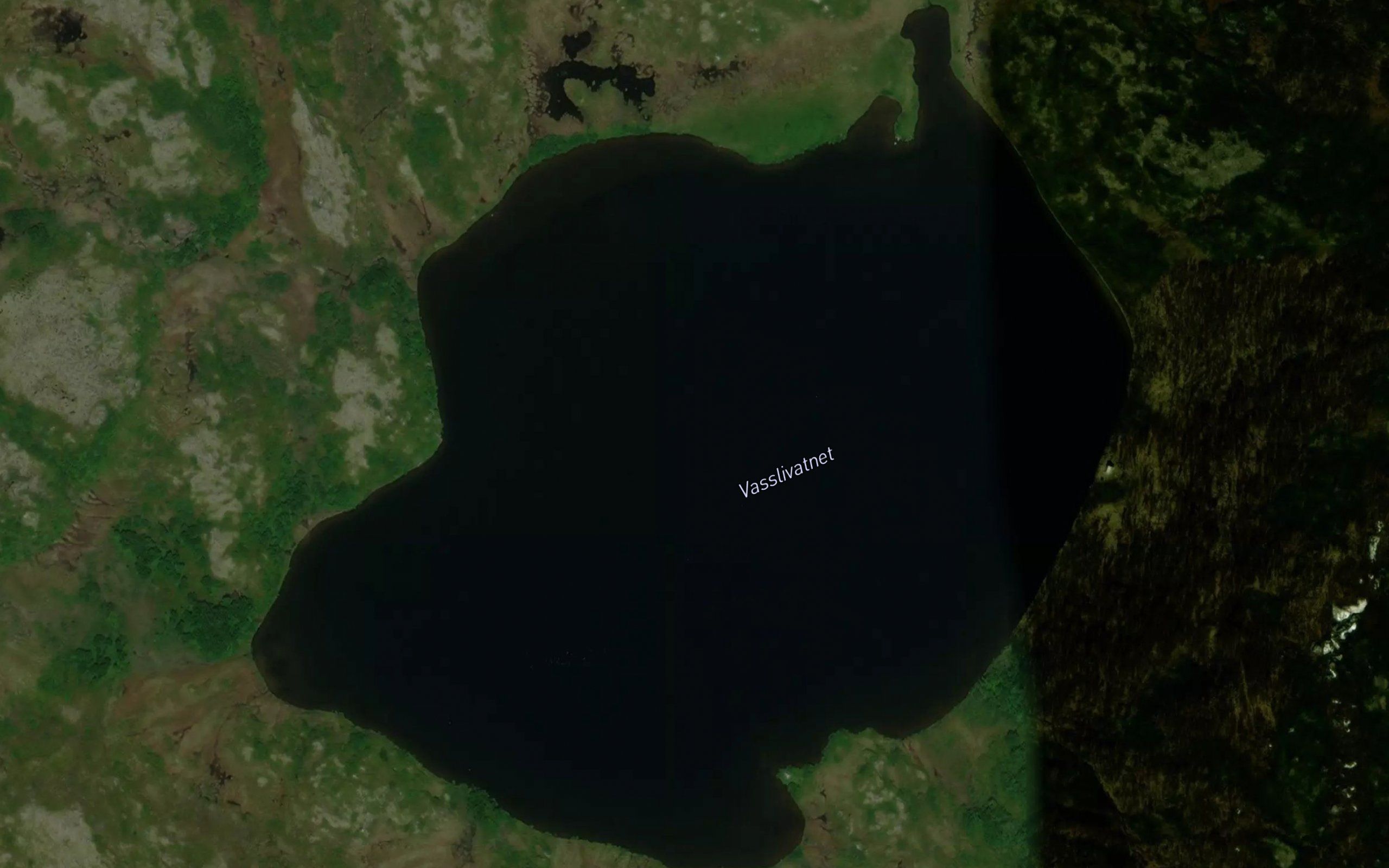 Vasslivatnet