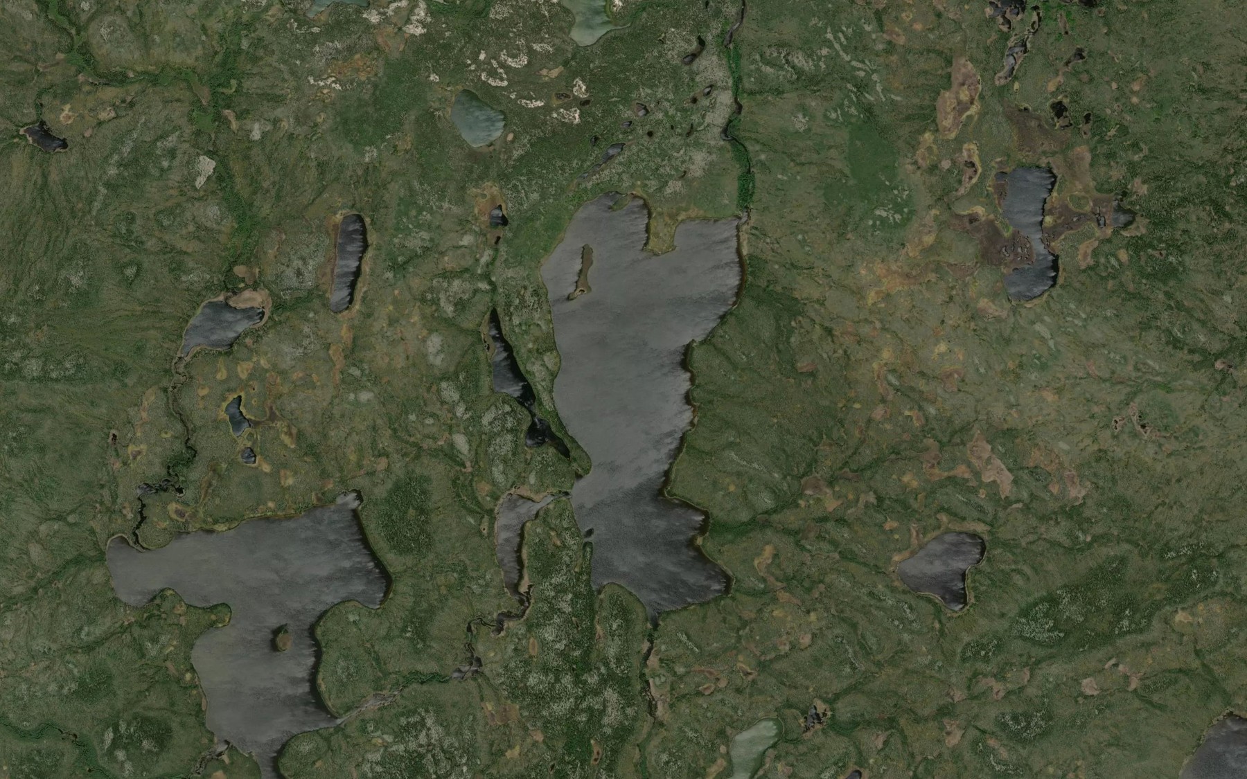 Satellite map of the Haynes Lake
