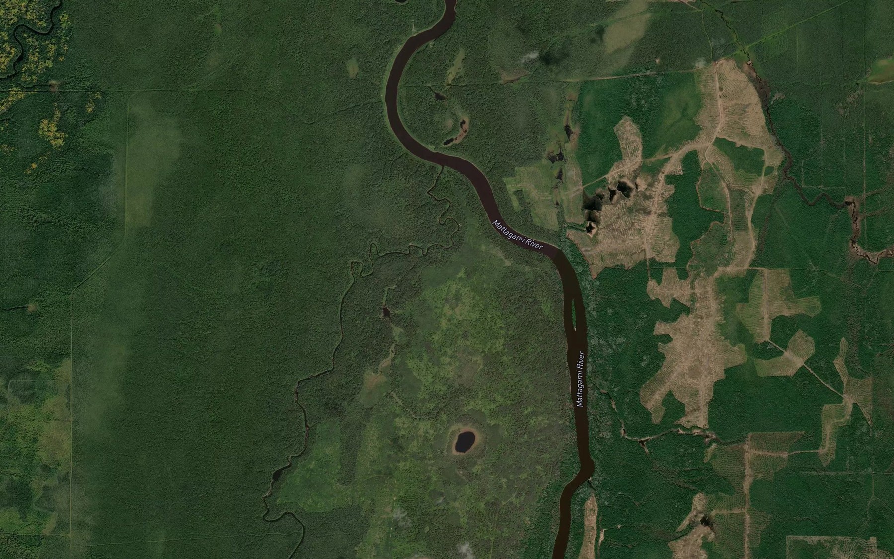 Satellite map of the White Caribou River