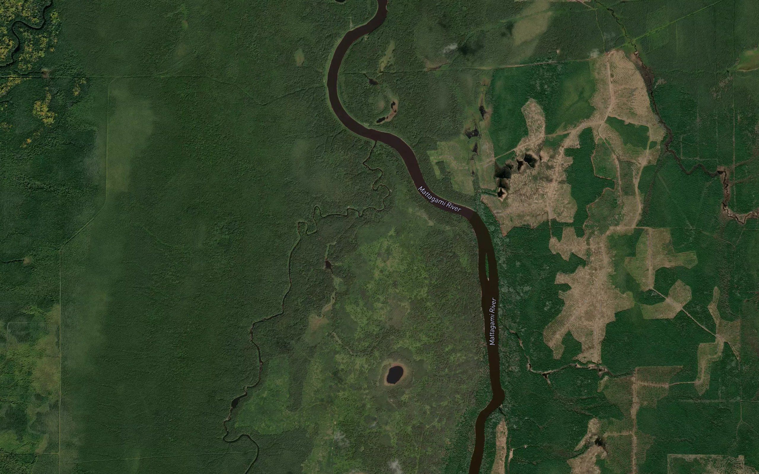 White Caribou River