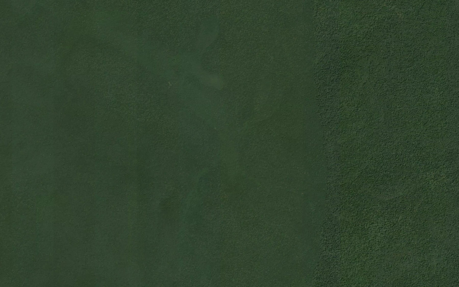 Satellite map of the Waburu
