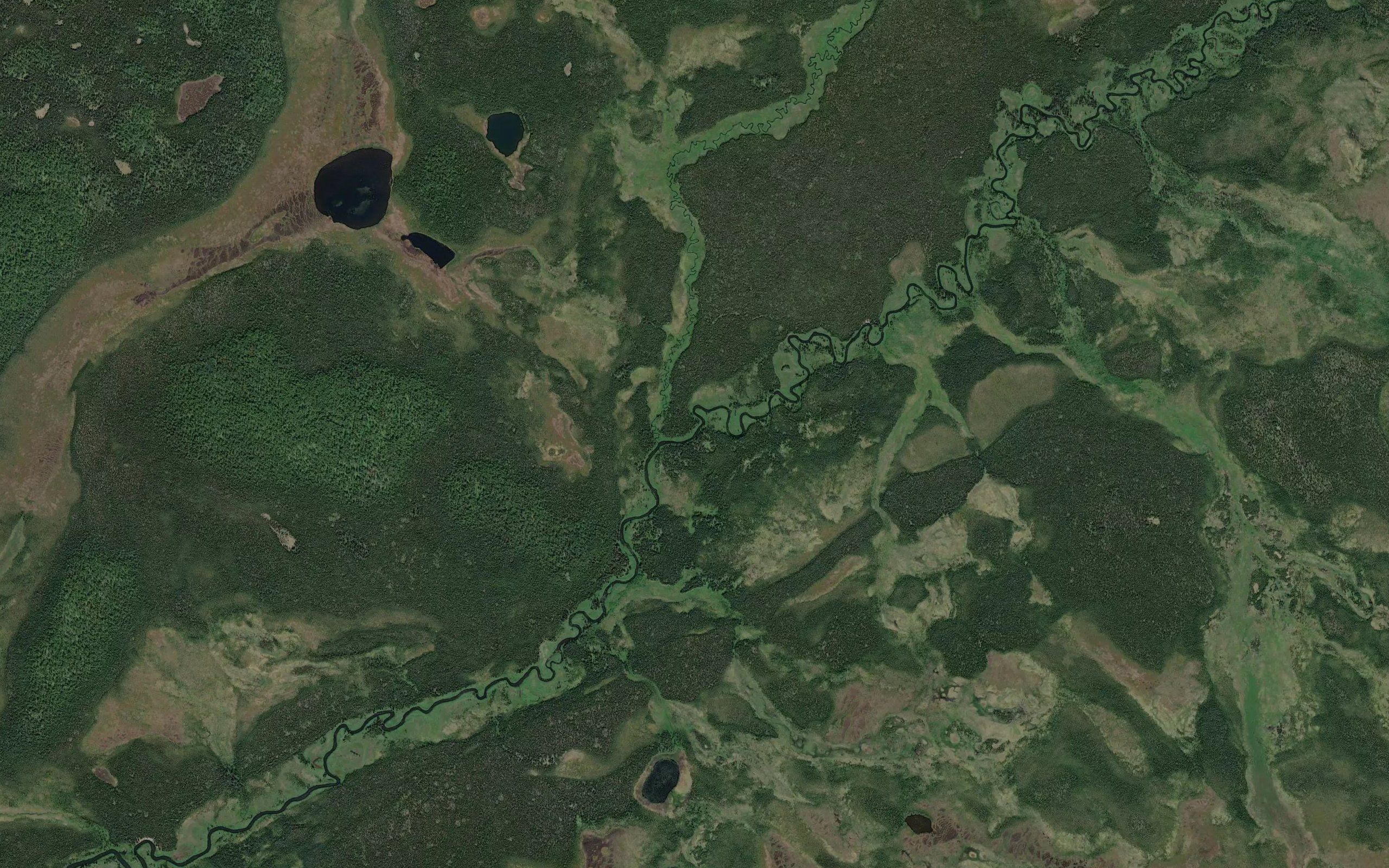 West Fork Moose River