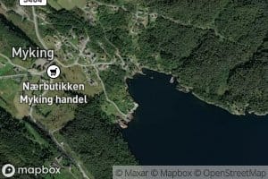 Hodnavika