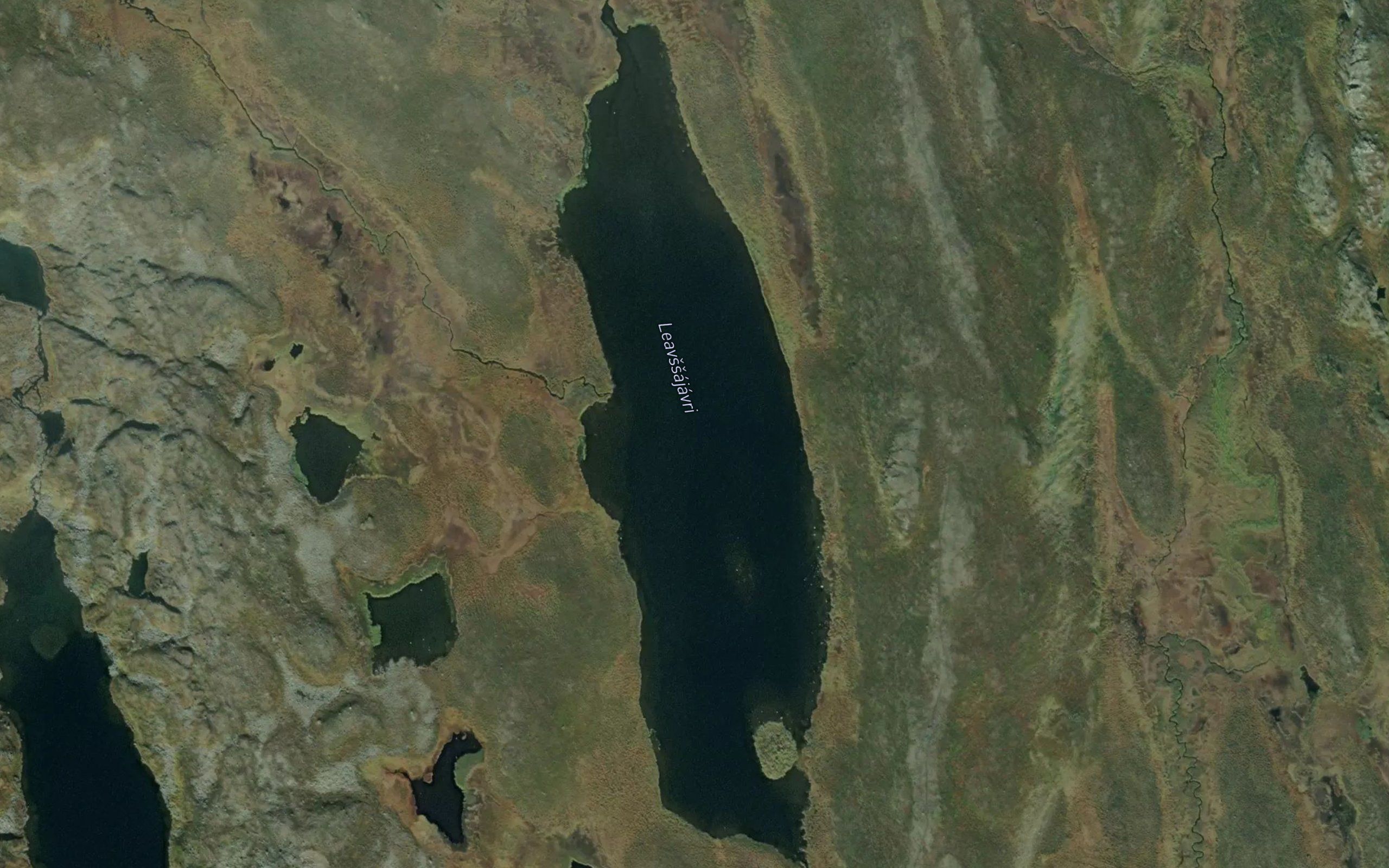Laevsajavri