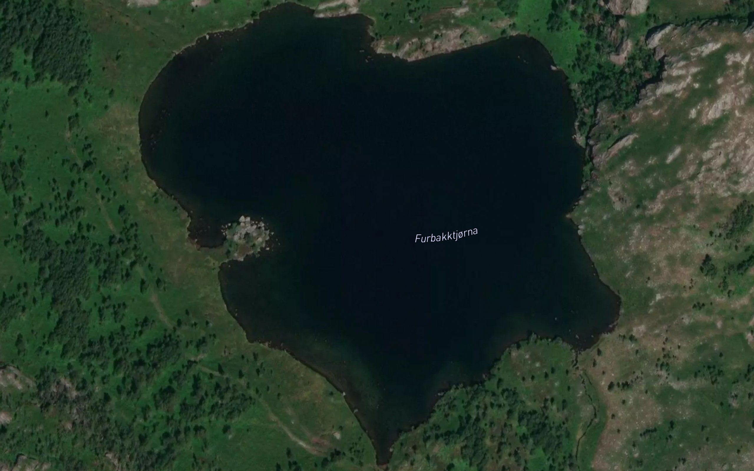Furbekktjorni