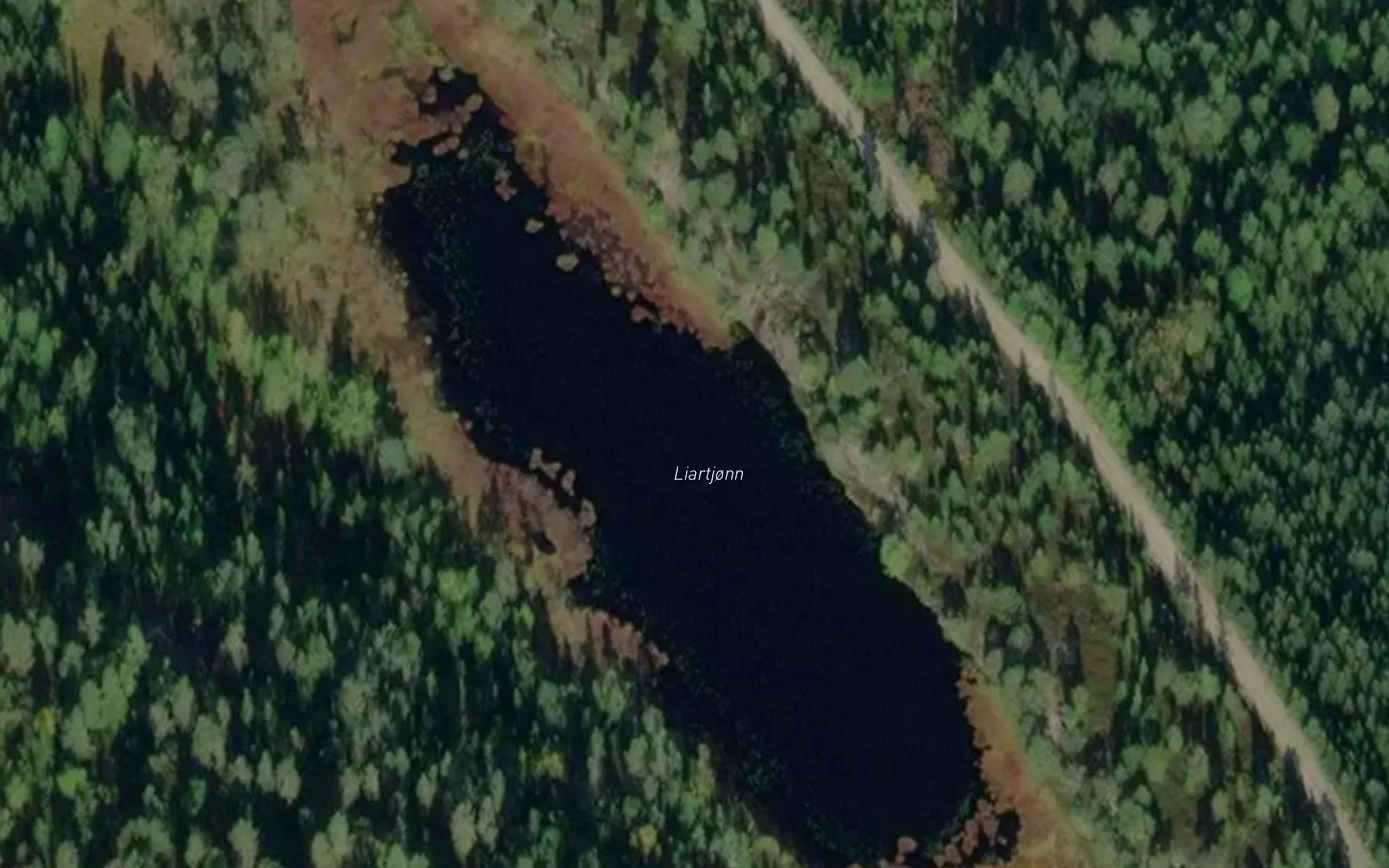 Liartjorni