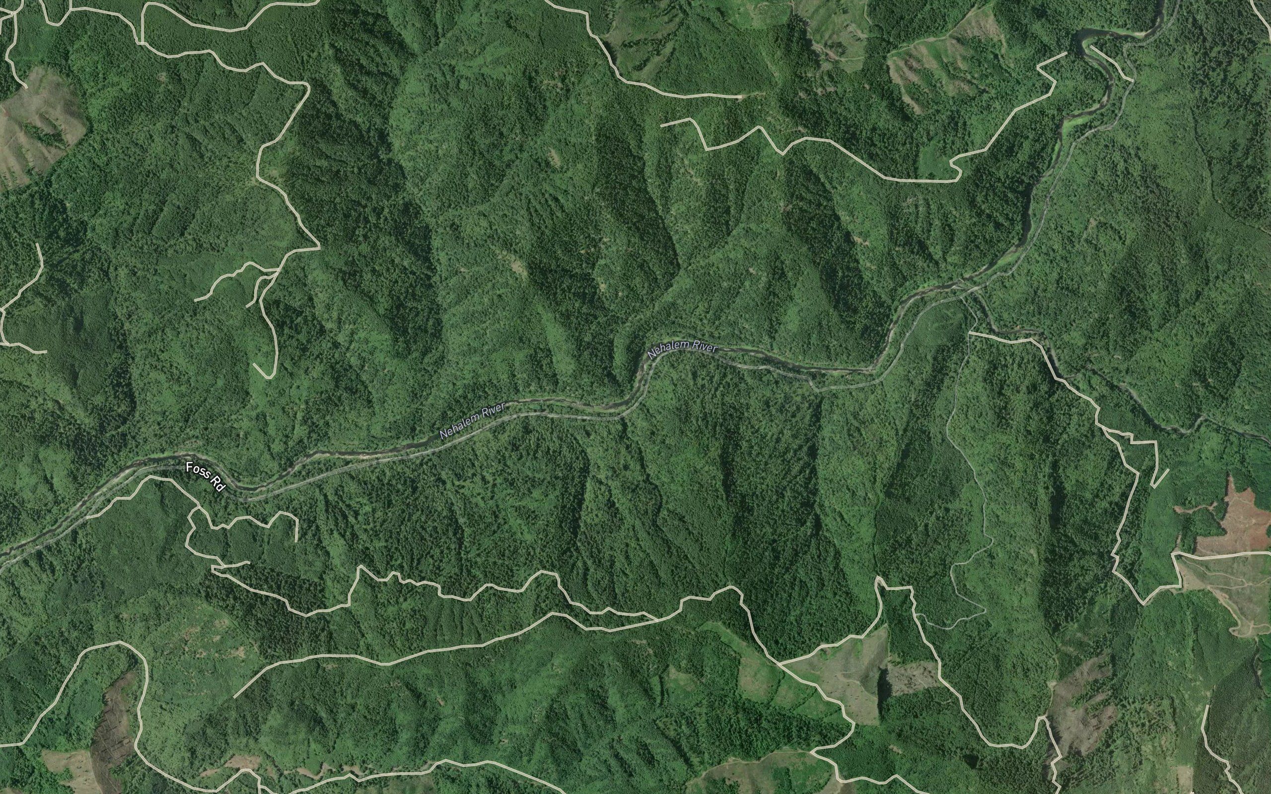 Snark Creek