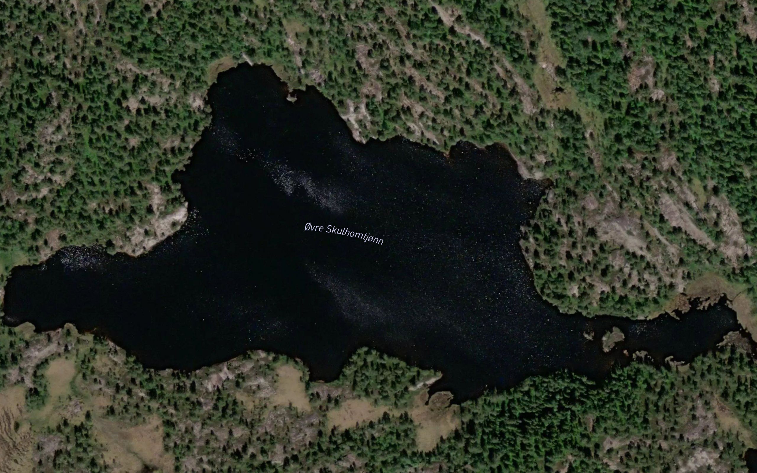 Ovre Skulhomtjonn