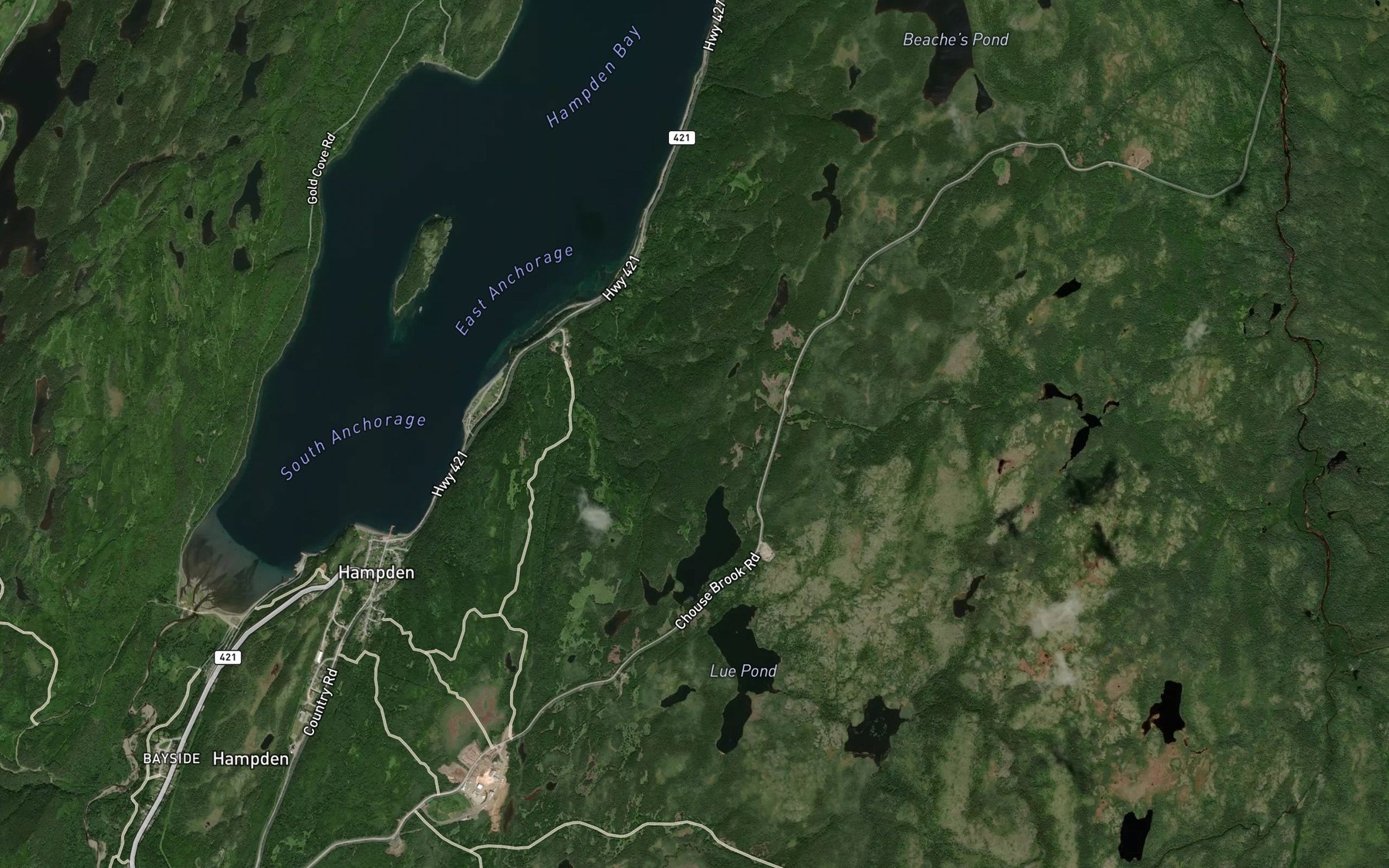 Satellite map of the Georges Pond