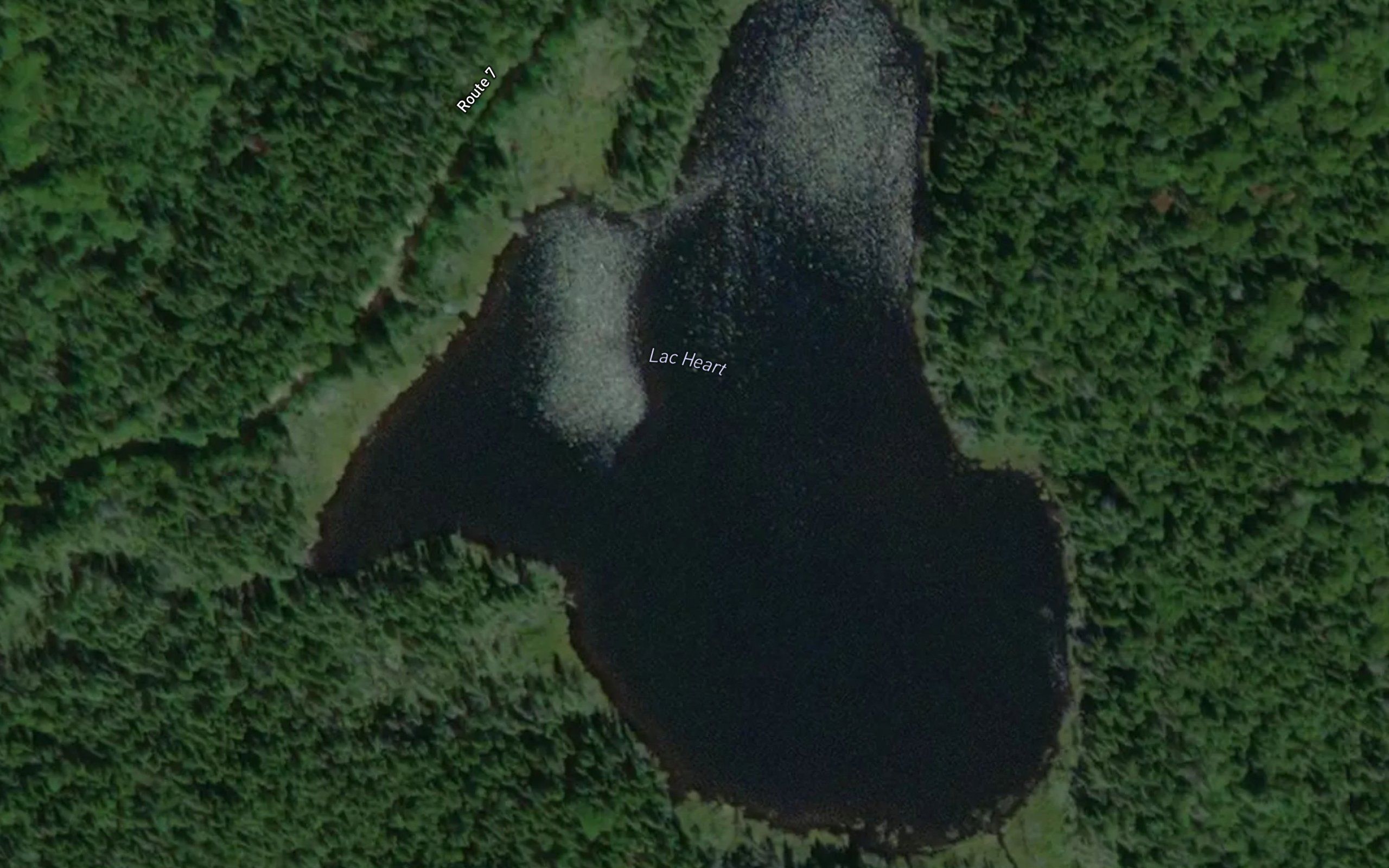 Lac Heart