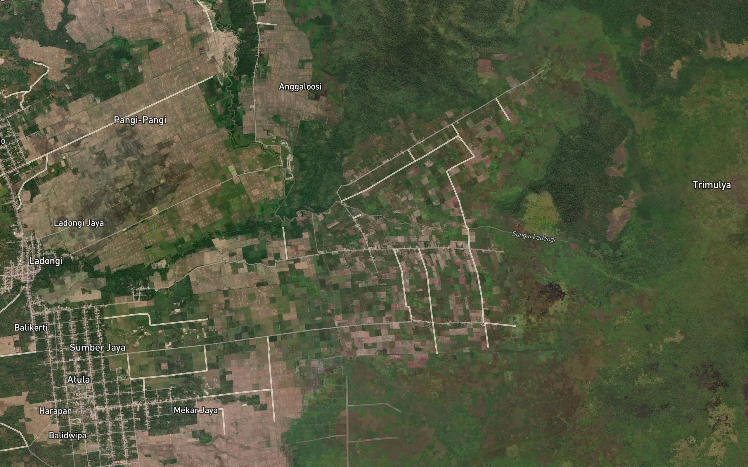 Aalaa Loea