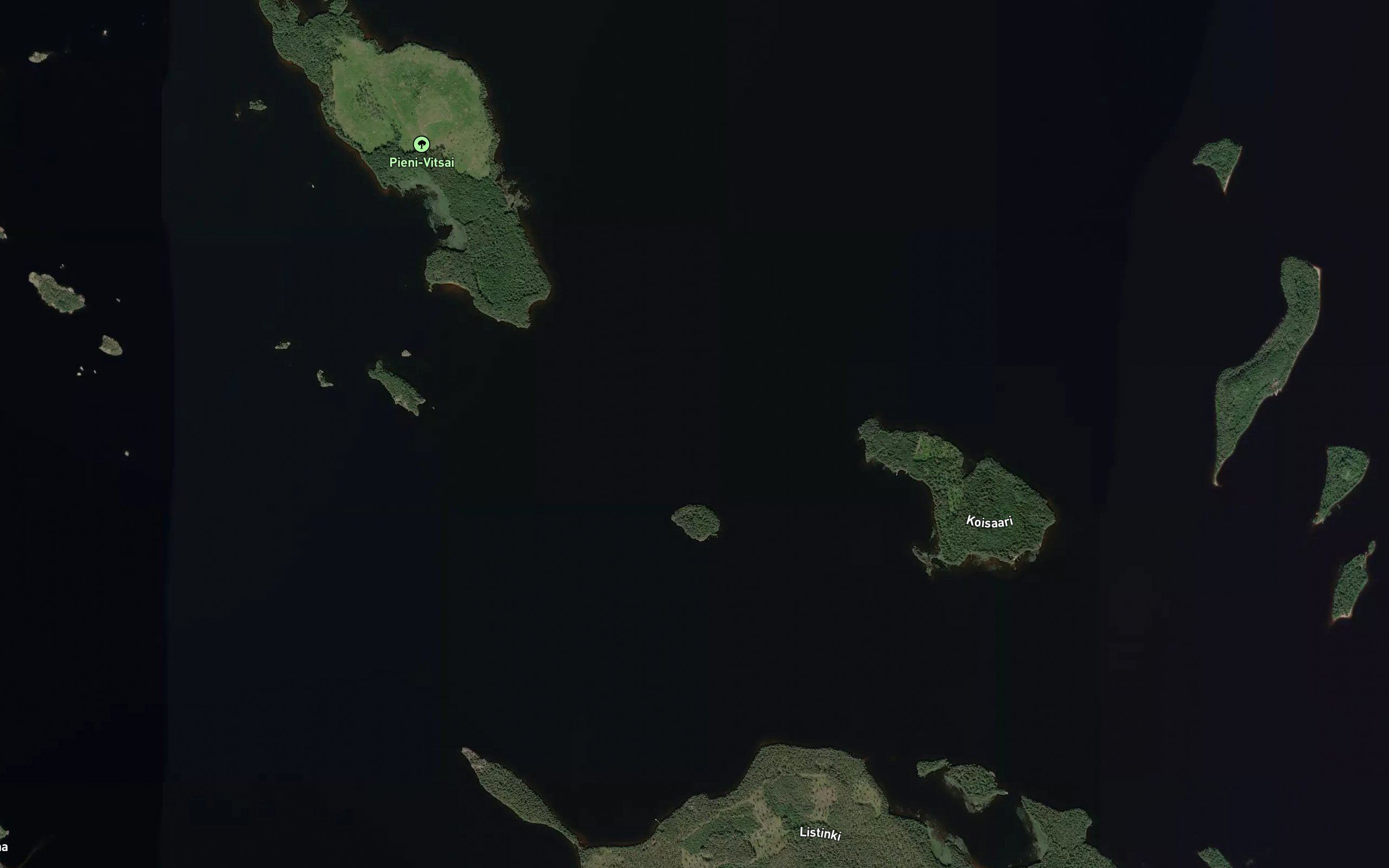 Vitsainselka