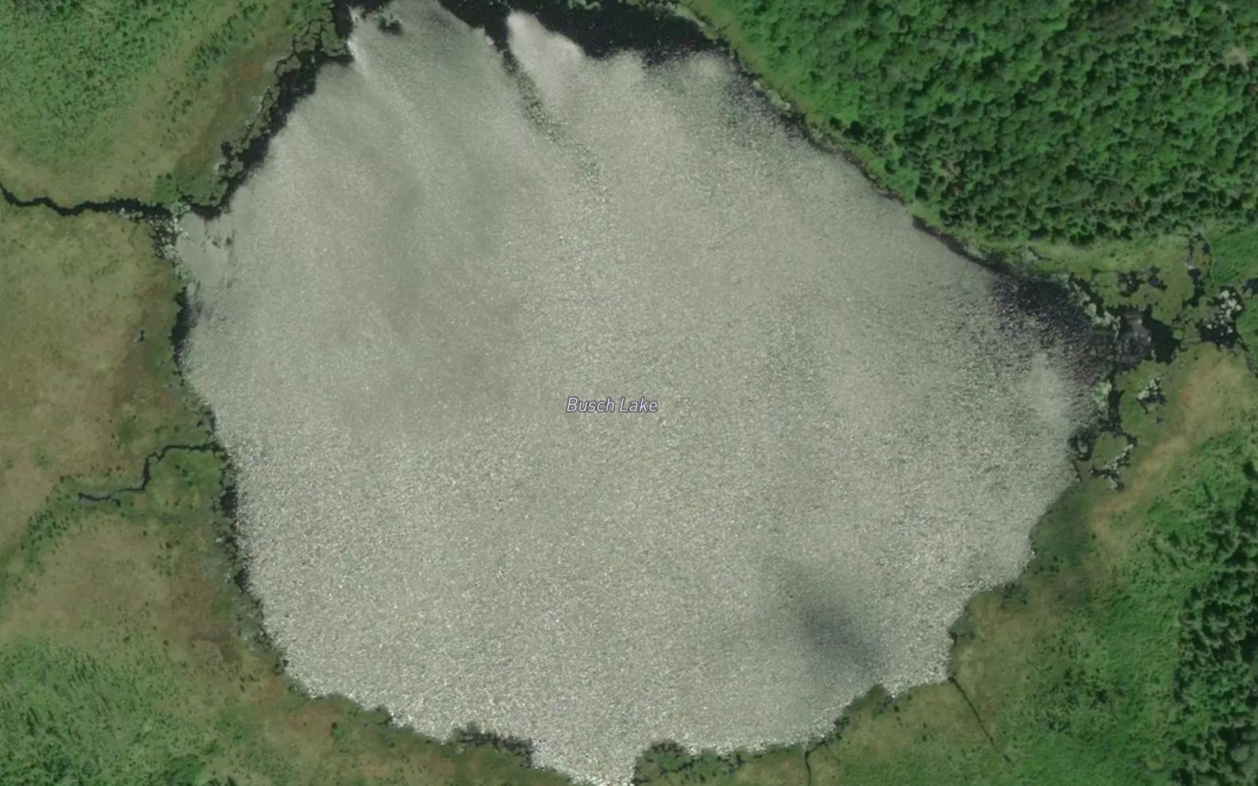 Satellite map of the Busch Lake