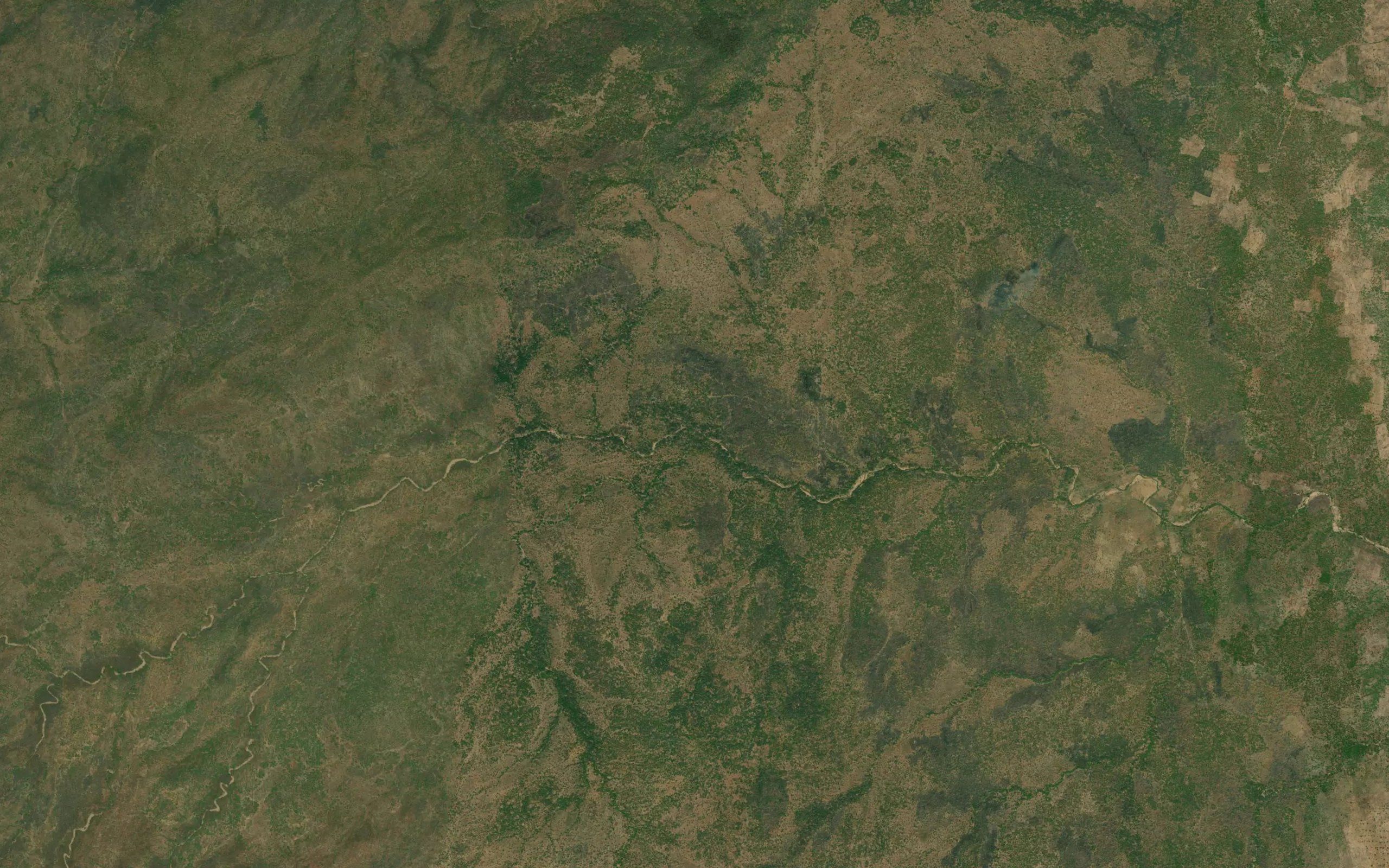 Bissaodi