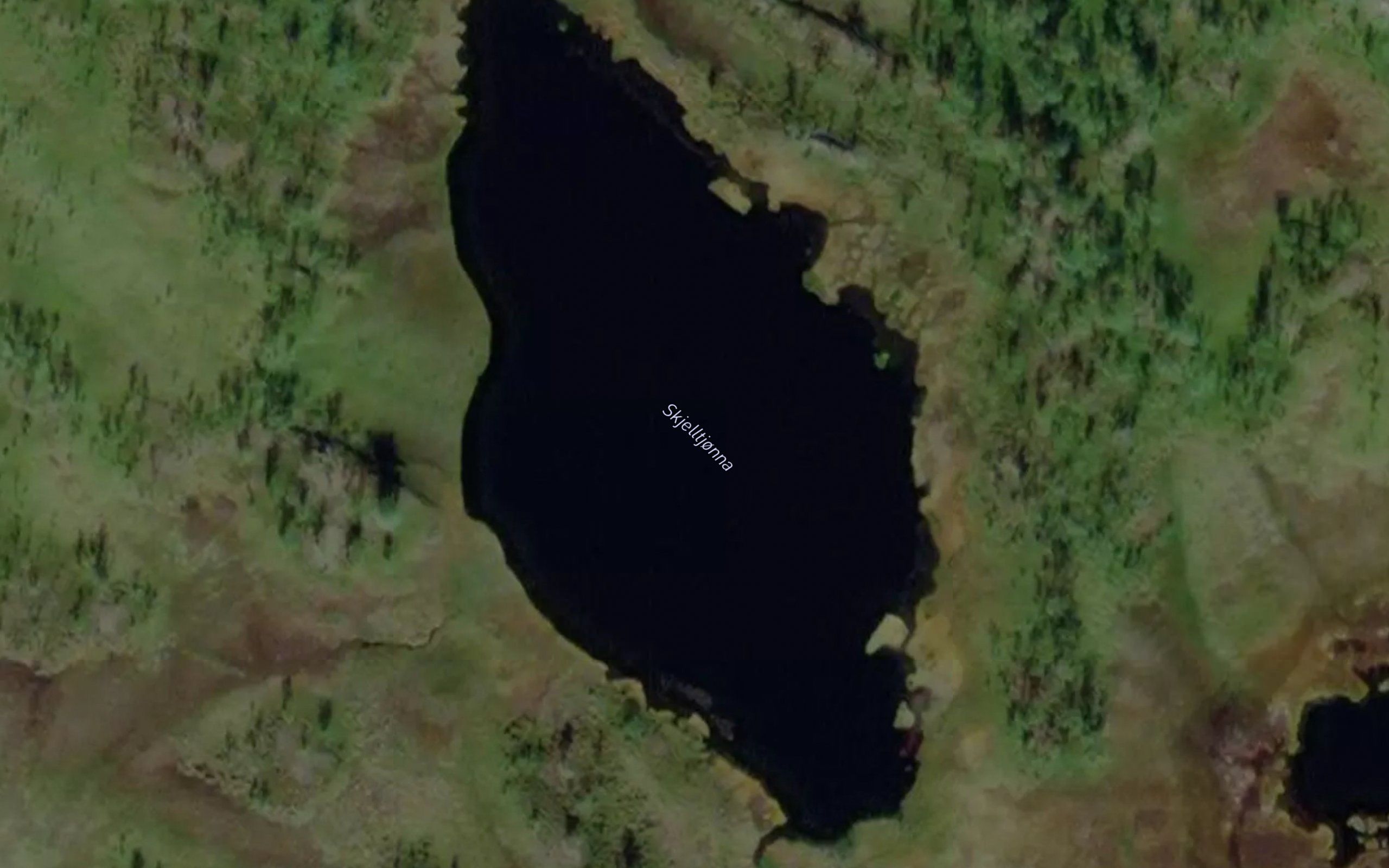 Skjelltjonna