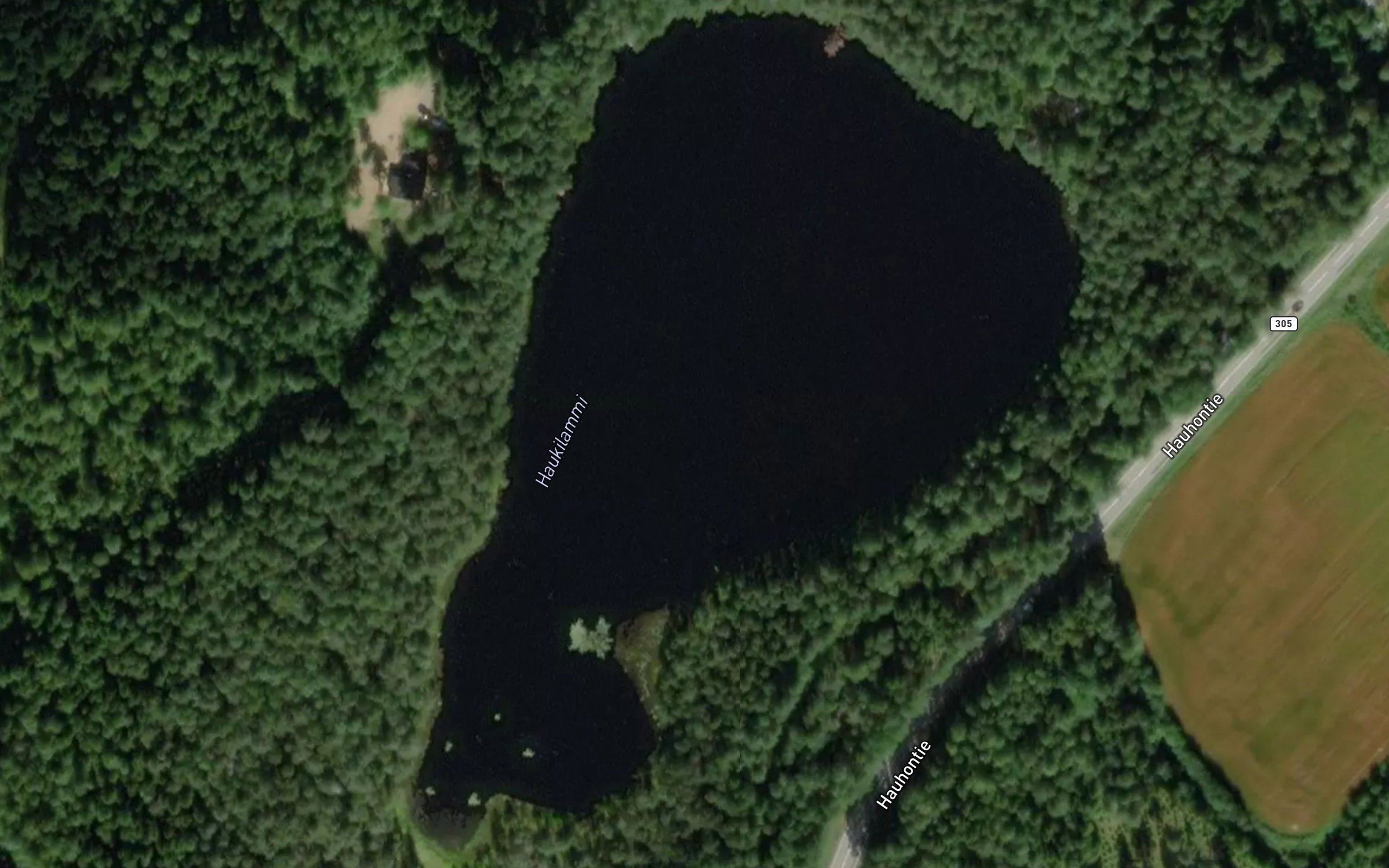 Haukilammi