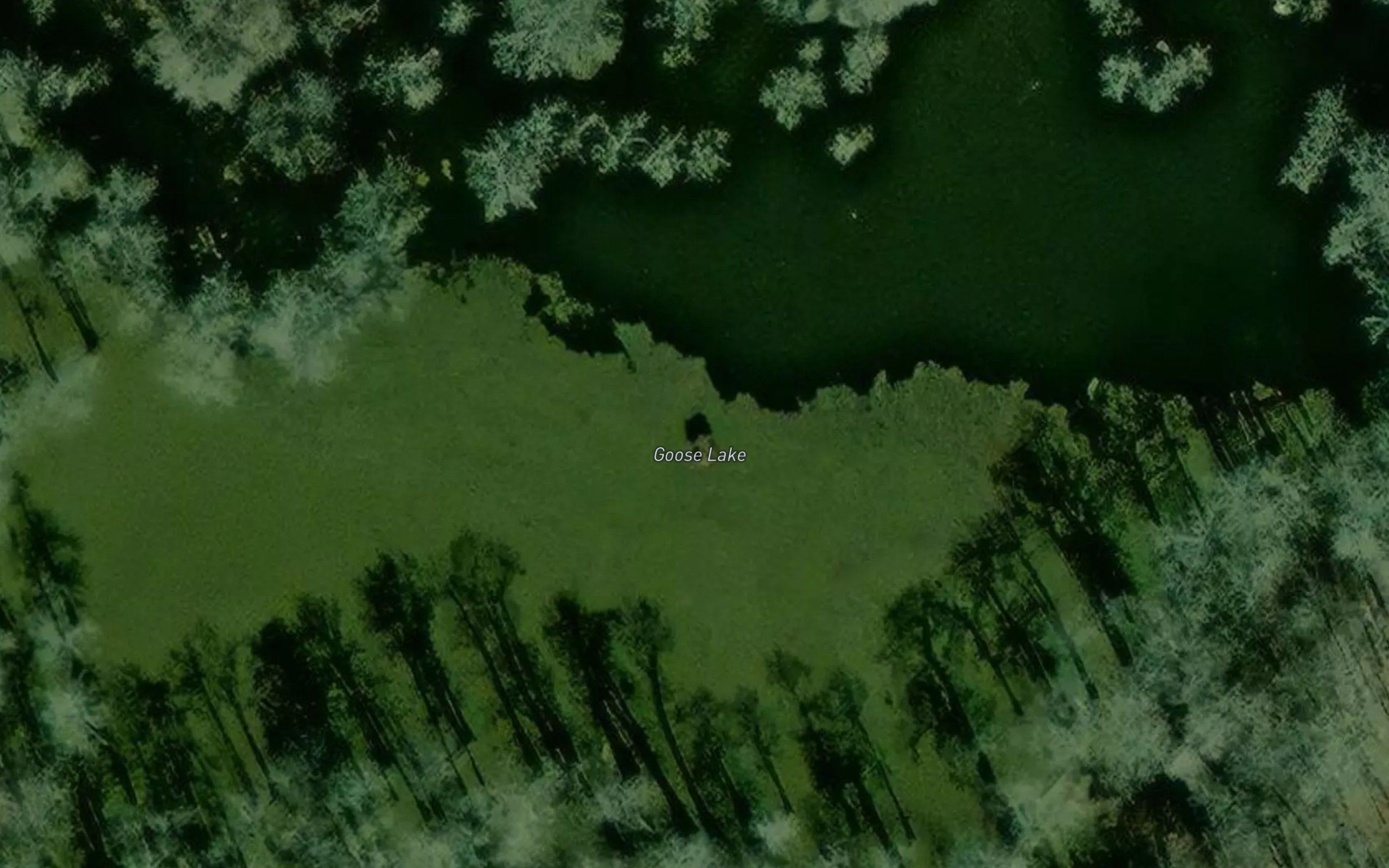 Goose Lake