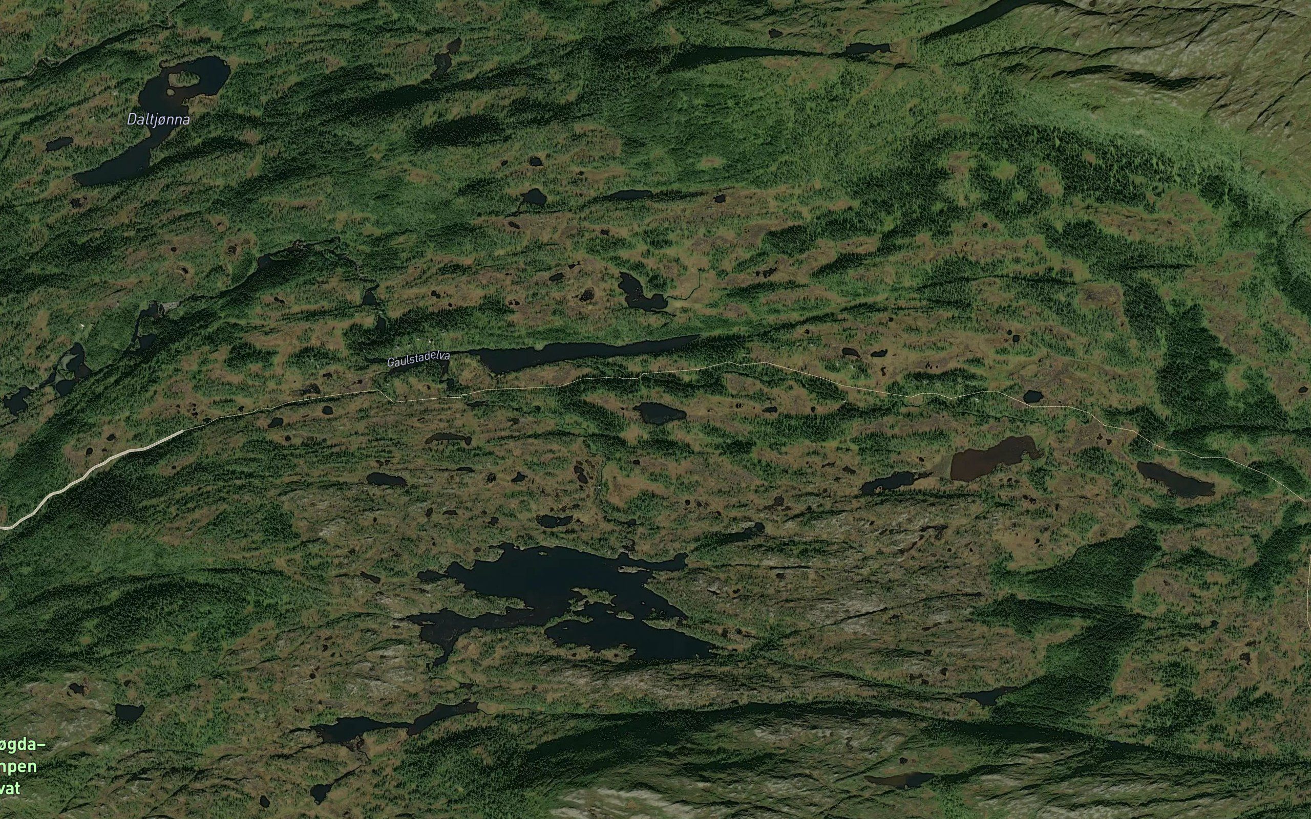 Kvinandtjonna