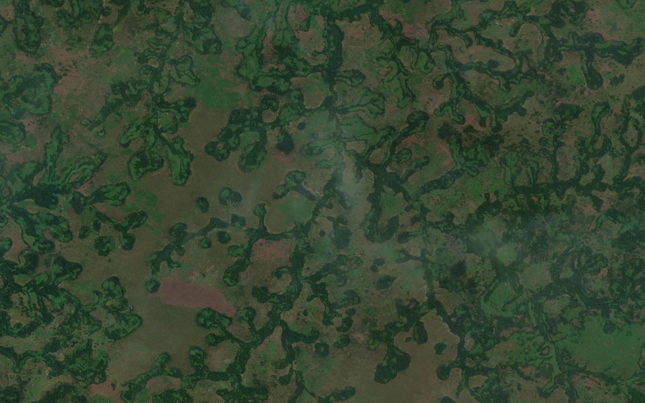 Akakoye