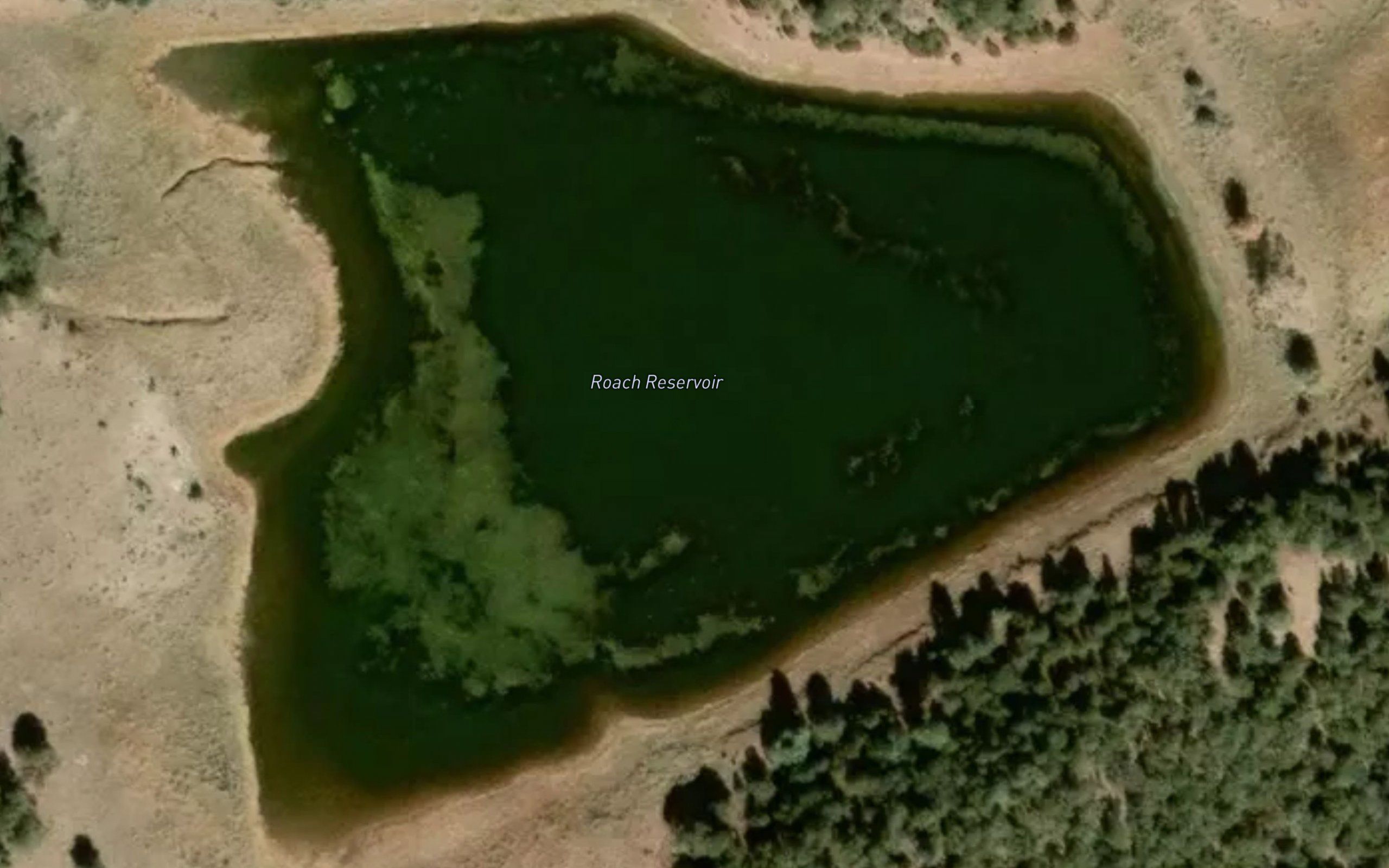 Roach Reservoir