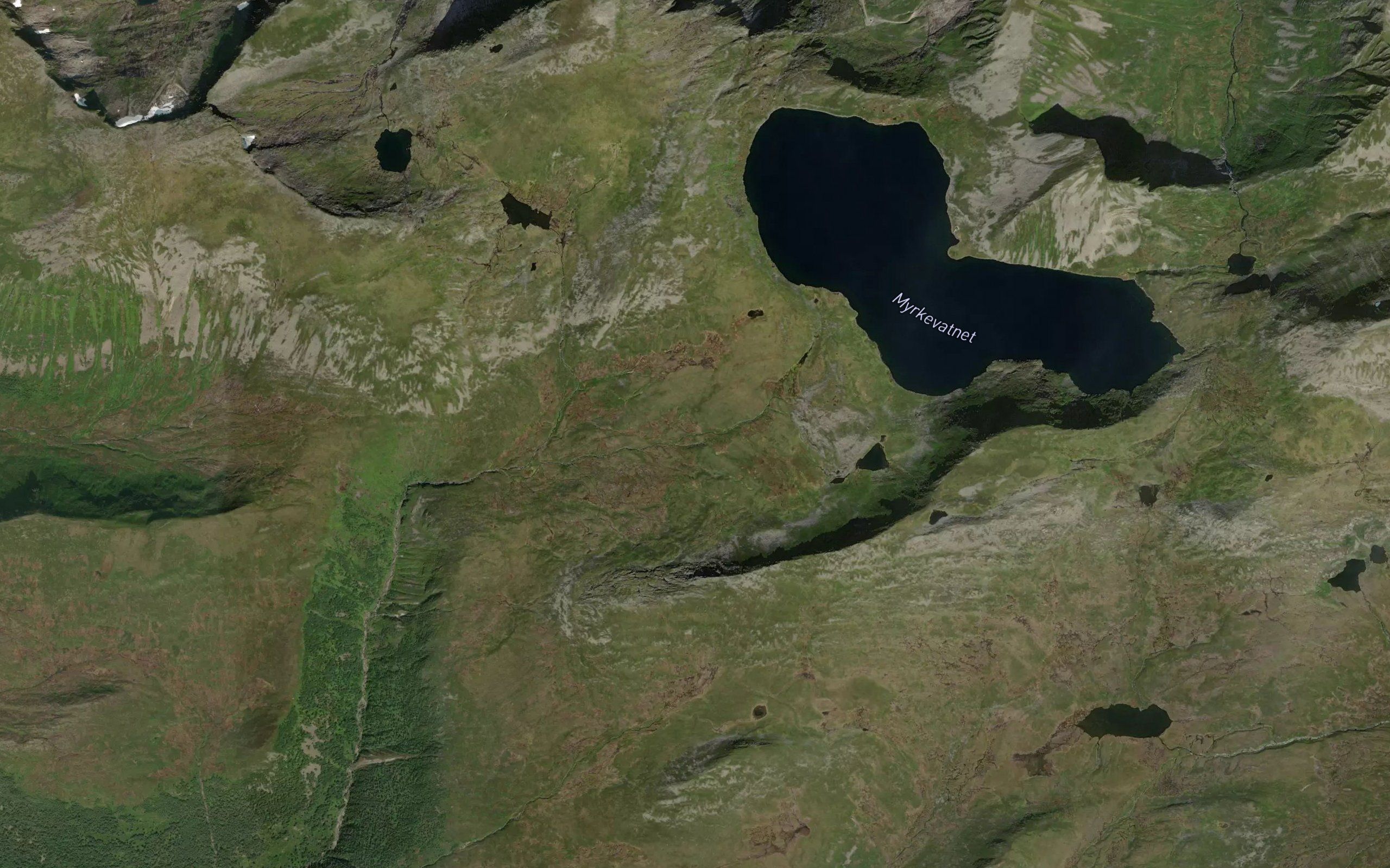 Elvakrikane