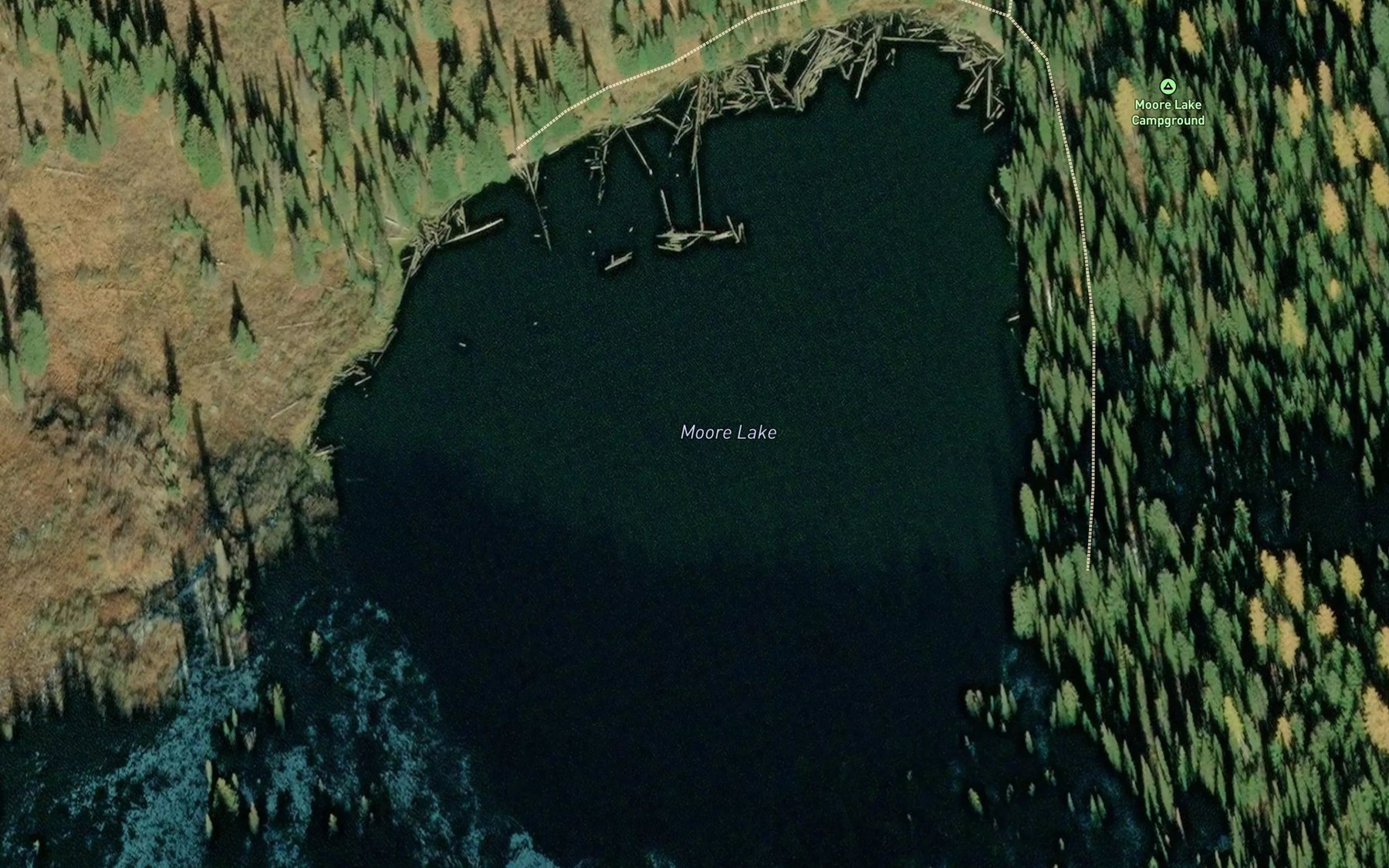 Satellite map of the Moore Lake
