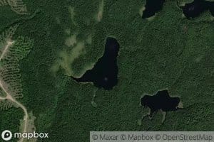 Lac Spruce