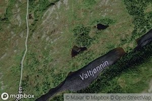 Feitauretjonna