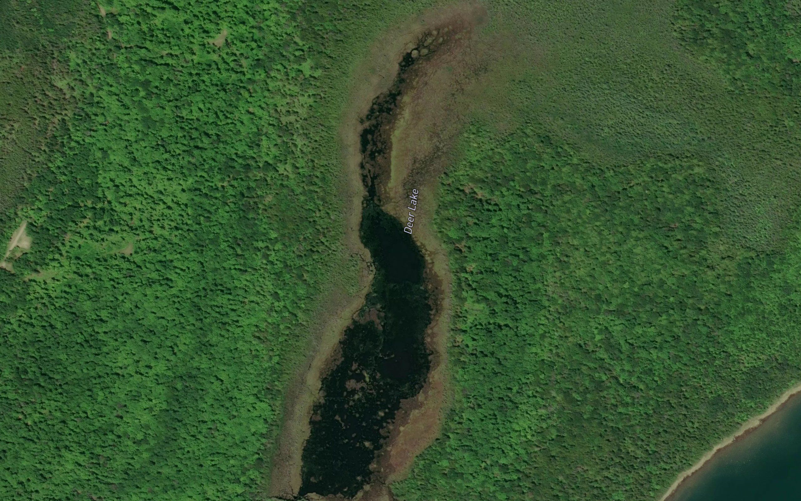 Deer Lake