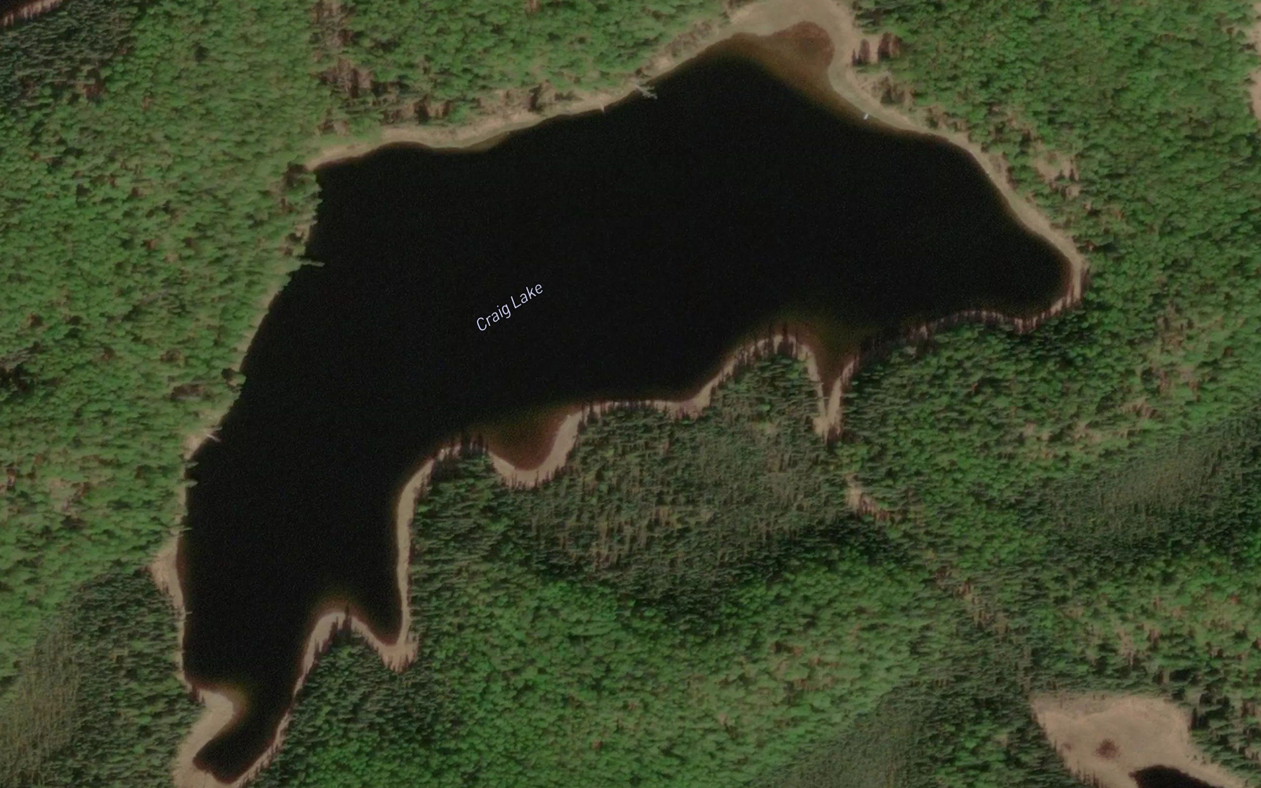 Craig Lake